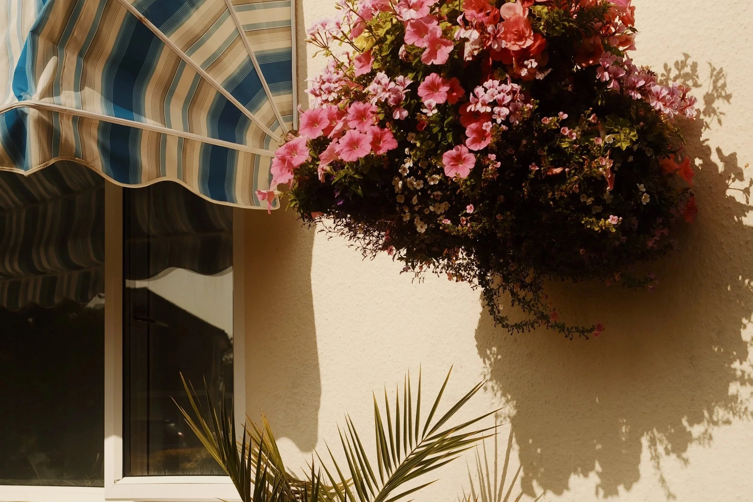 A house window with a striped blue, white, and beige awning, a large hanging planter with pink and white flowers, and a palm leaf casting a shadow on the beige exterior wall.