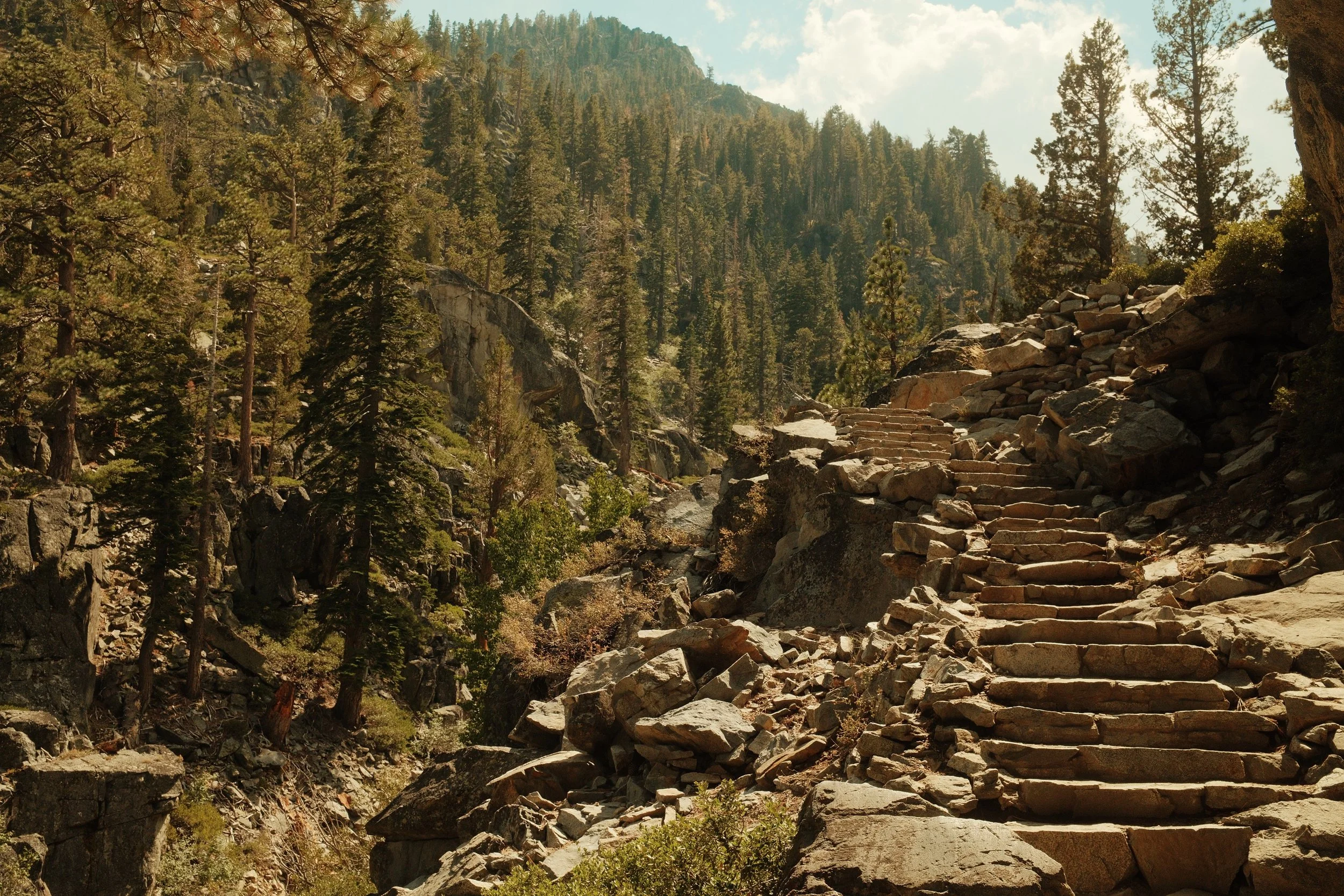 A rugged mountain trail with stone steps surrounded by trees and rocky terrain, leading into a forested mountain landscape.