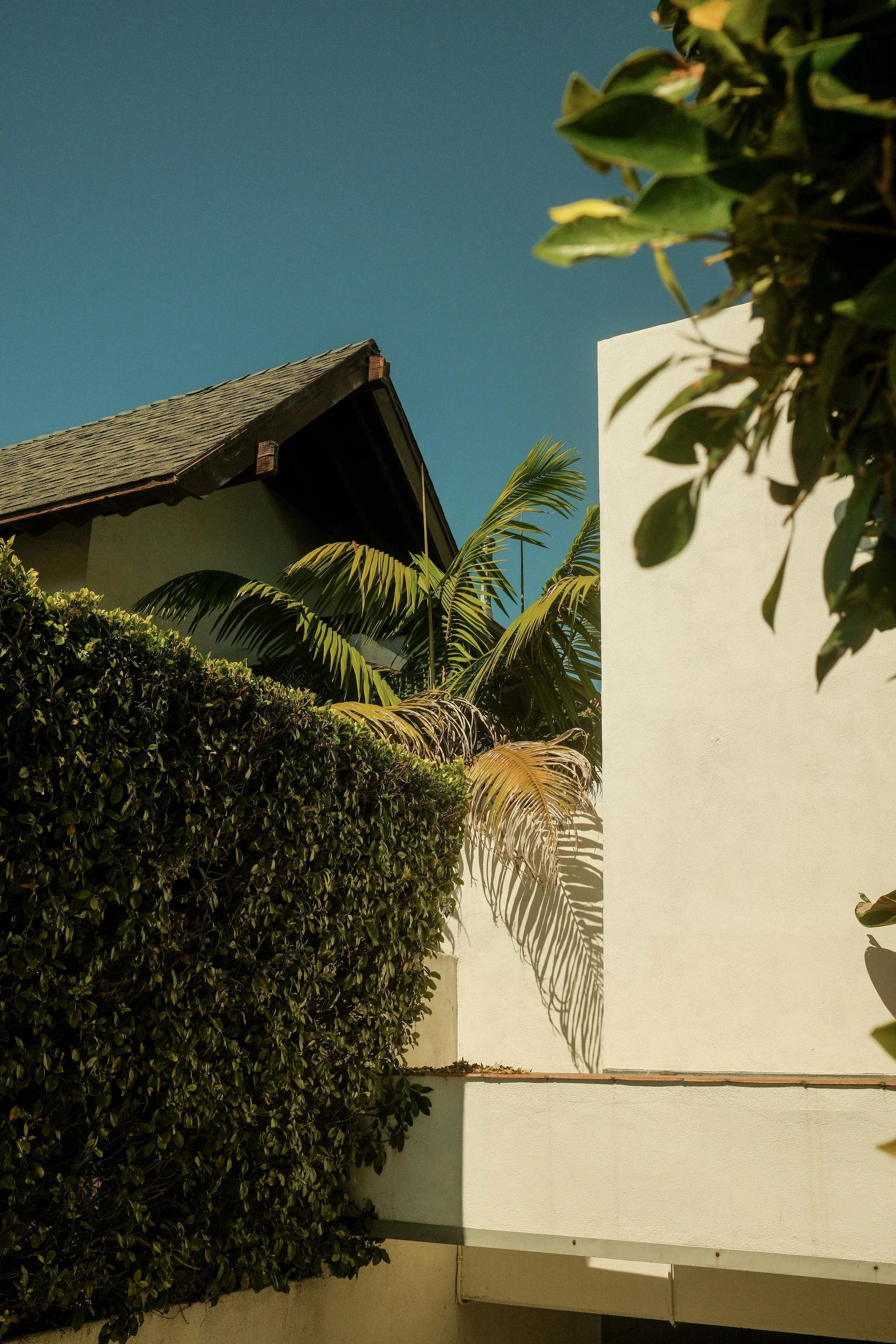 california-motel-architecture-palm-shadows-santa-monica-gem-redford-4701.jpg