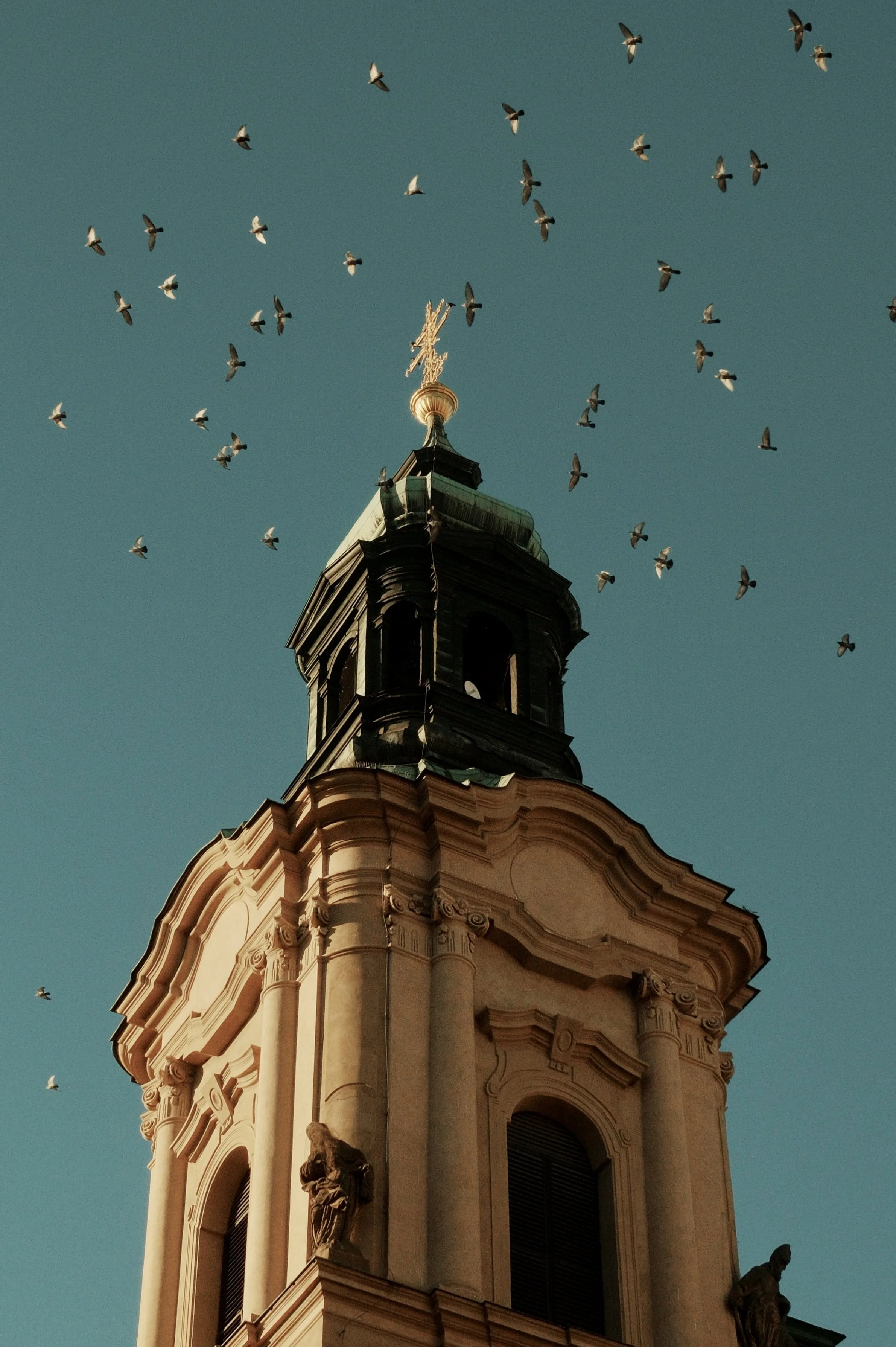 A tall church steeple with a golden weather vane on top, pigeons flying in the sky around it, and statues on the building's facade.