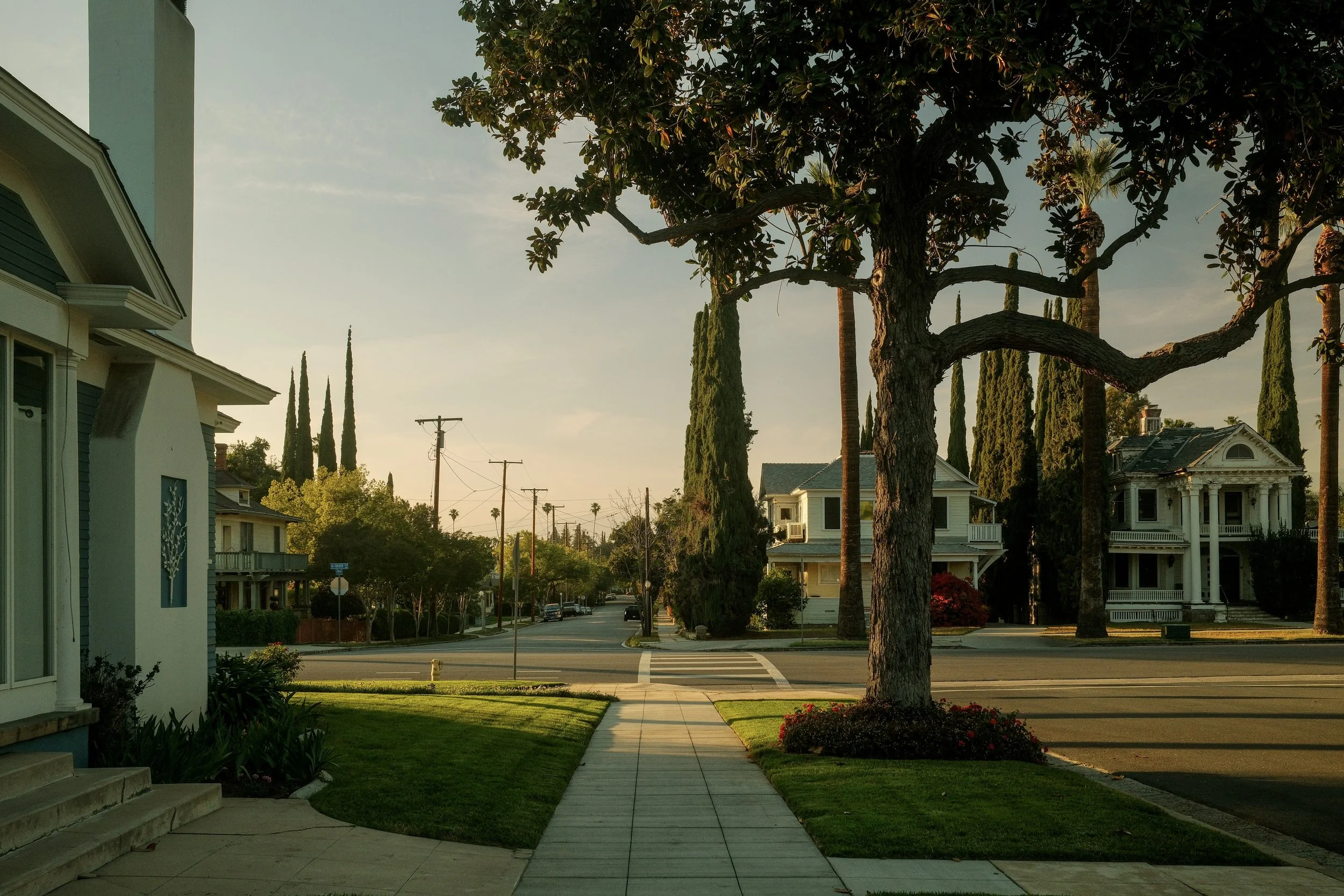 Residential neighborhood with houses, tall cypress trees, and a sidewalk at sunset.