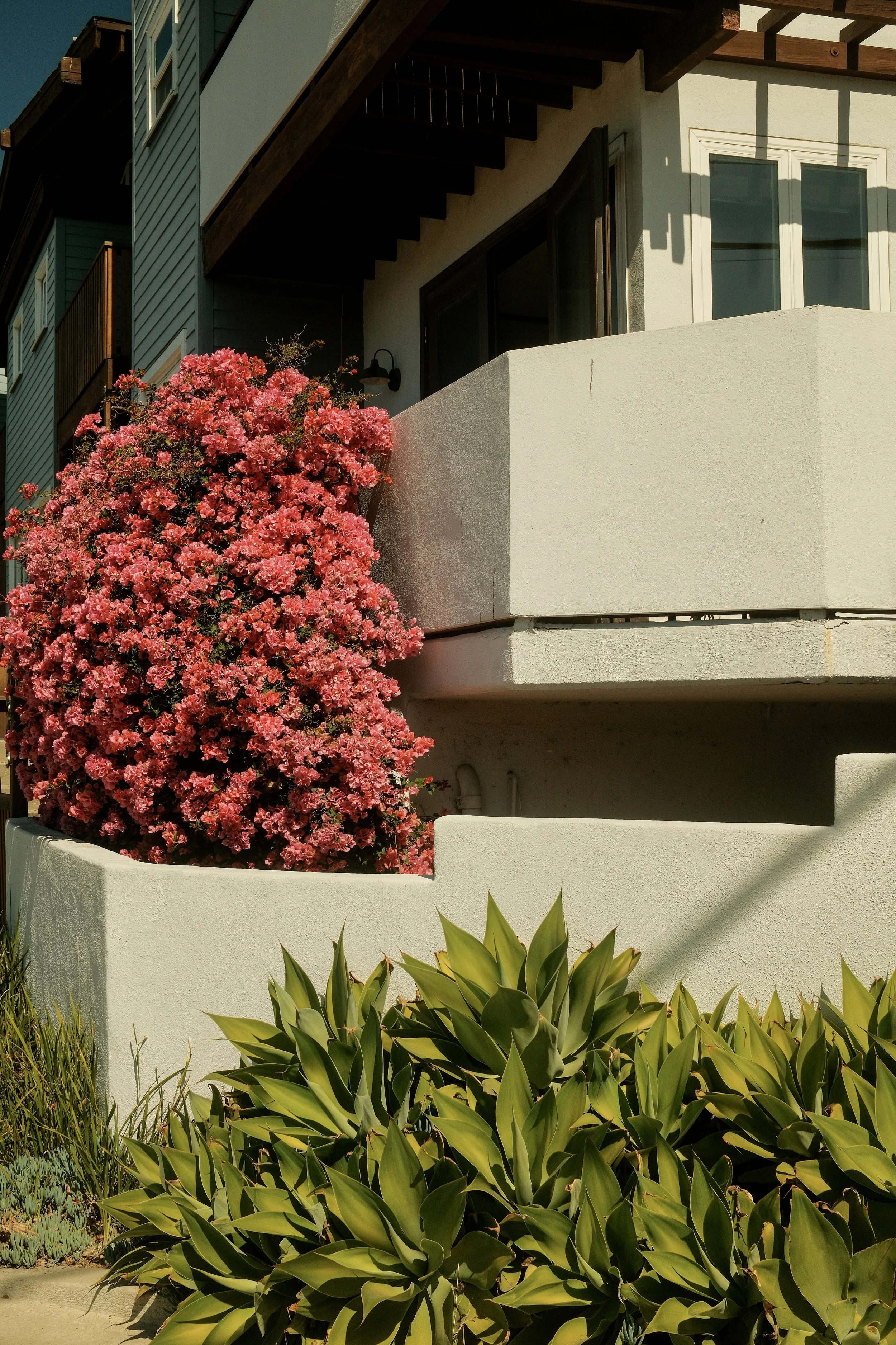 motel-exterior-pink-flowers-facade-santa-monica-california-gem-redford-4700.jpg