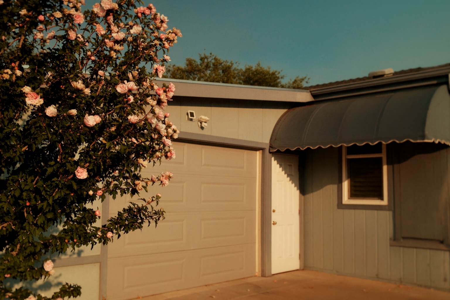 A house with a garage door, a small window, and a green awning with scalloped edges; a flowering tree with pink blossoms partially obscures the house; late afternoon sunlight.