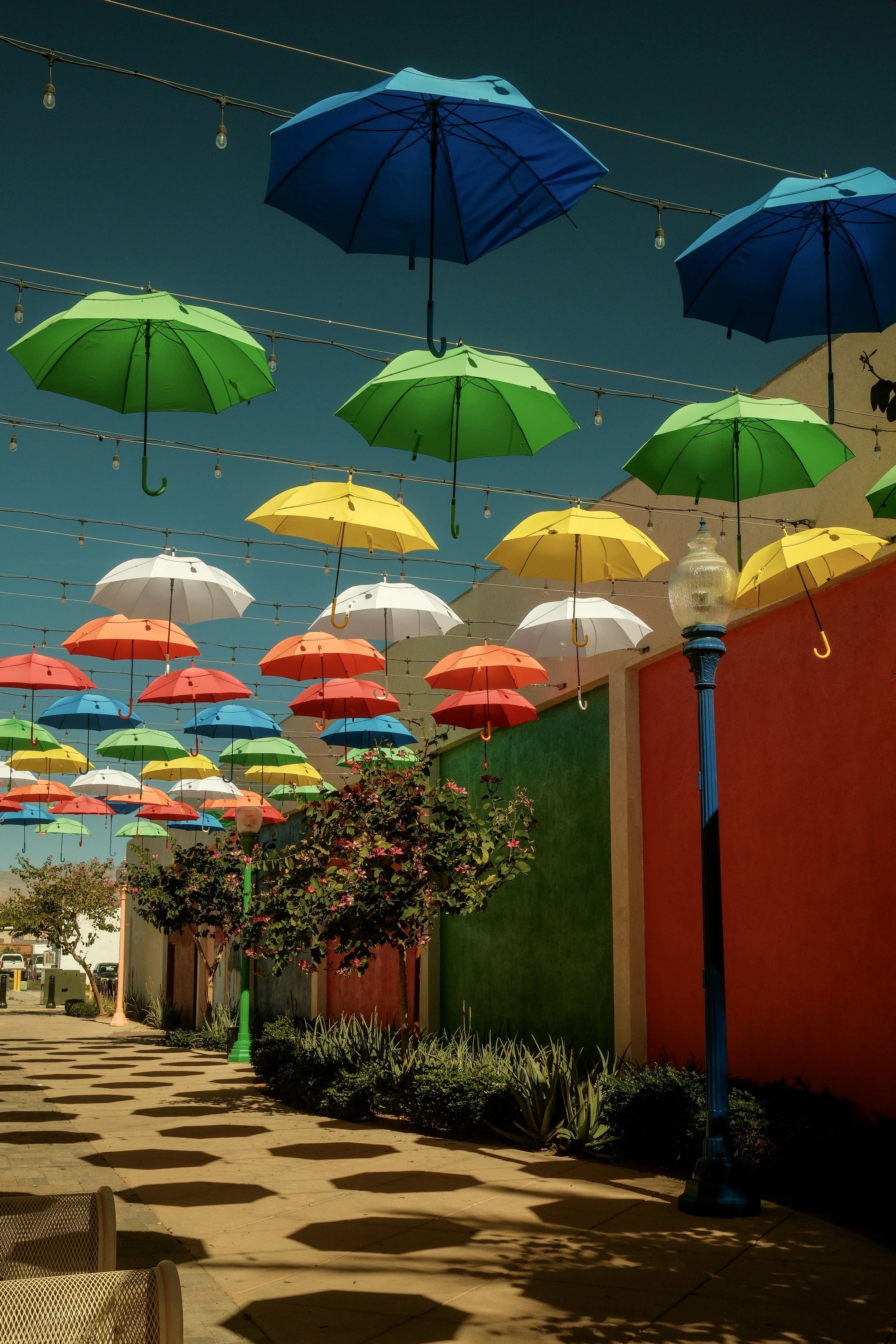 Colorful umbrellas hanging above a sidewalk, casting shadows on the pavement during daytime.