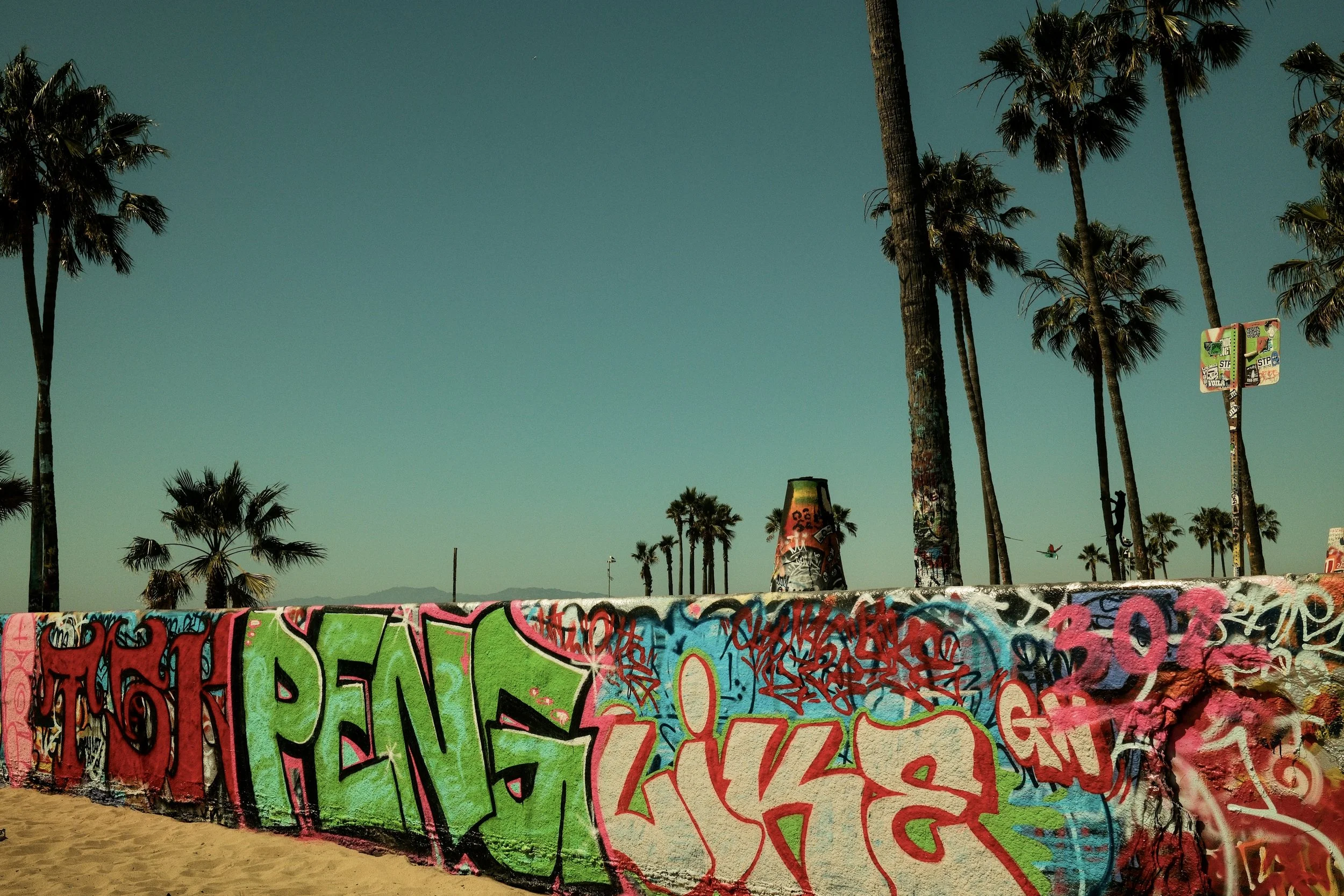Graffiti-covered wall at a beach with palm trees and clear sky in the background.