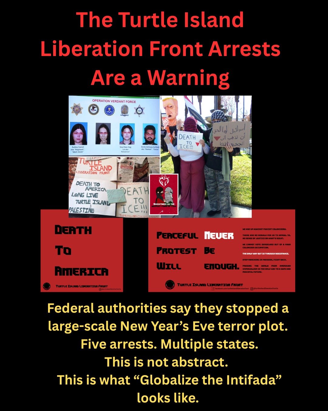 The Turtle Island Liberation Front arrests are not an isolated story.
They are a warning.

When nonprofits provide money, legitimacy, and cover to radical ecosystems without oversight, escalation is no longer theoretical.

This piece examines Honor t