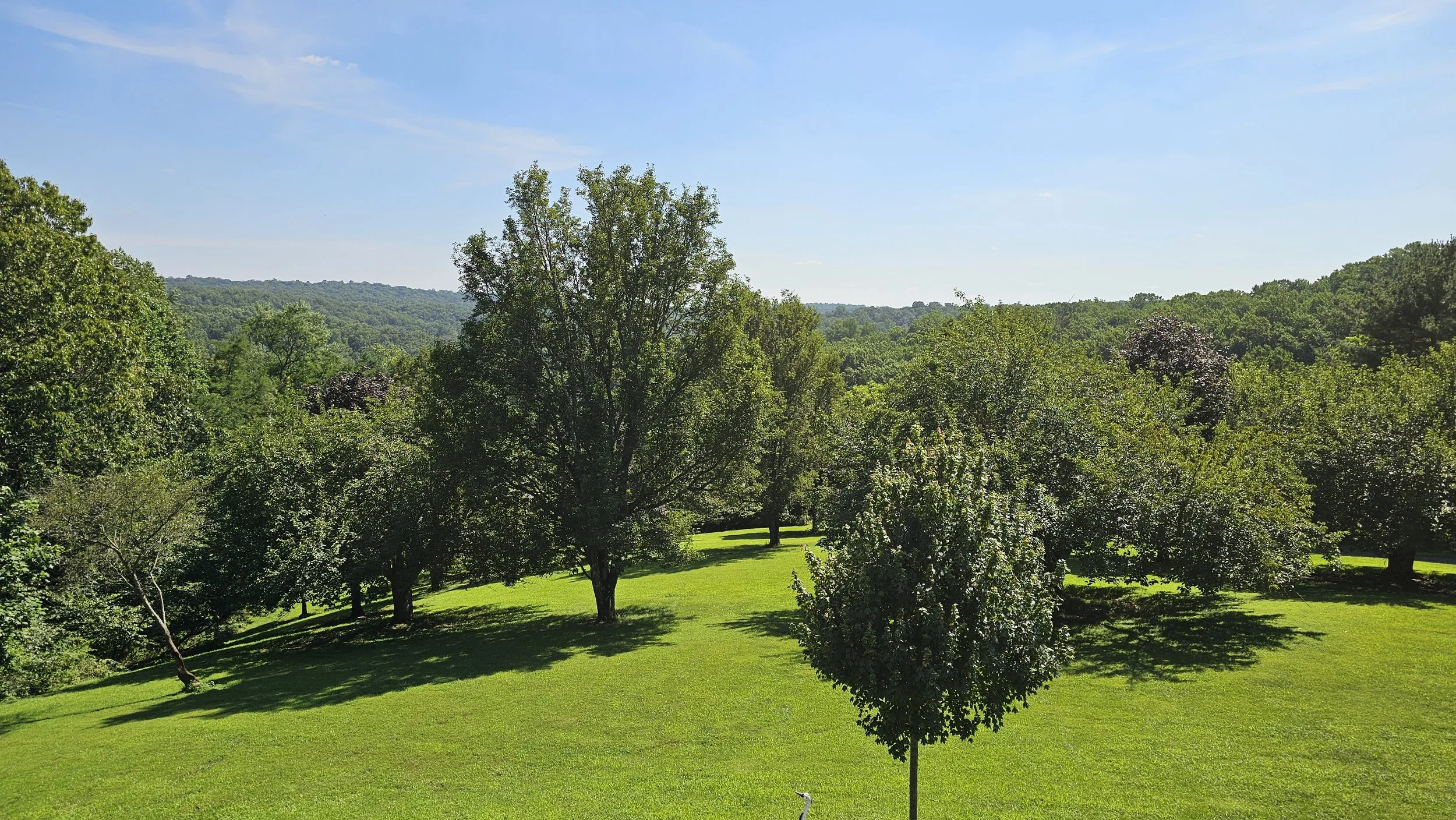Broad-Creek-Manor-Assisted-Living-View-Woods.jpg