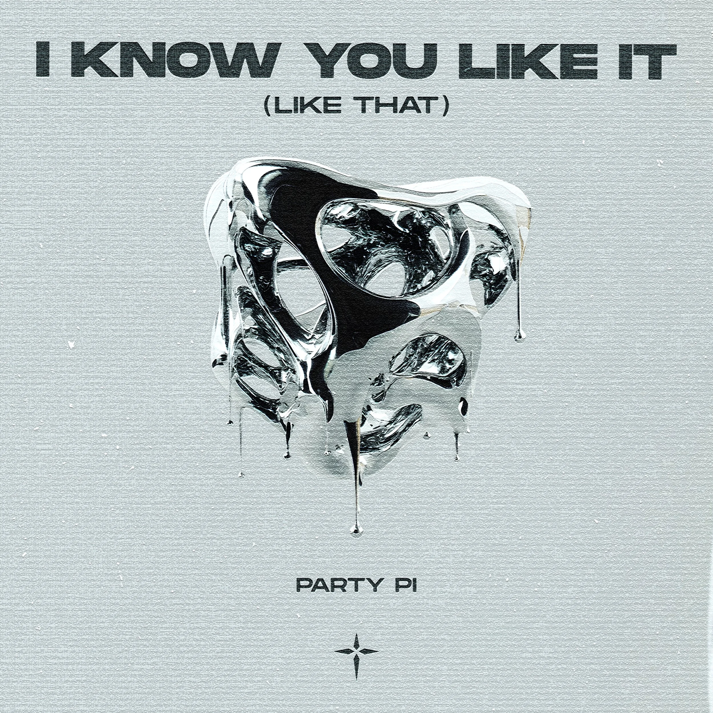 Party Pi - I Know You Like It (Like That)