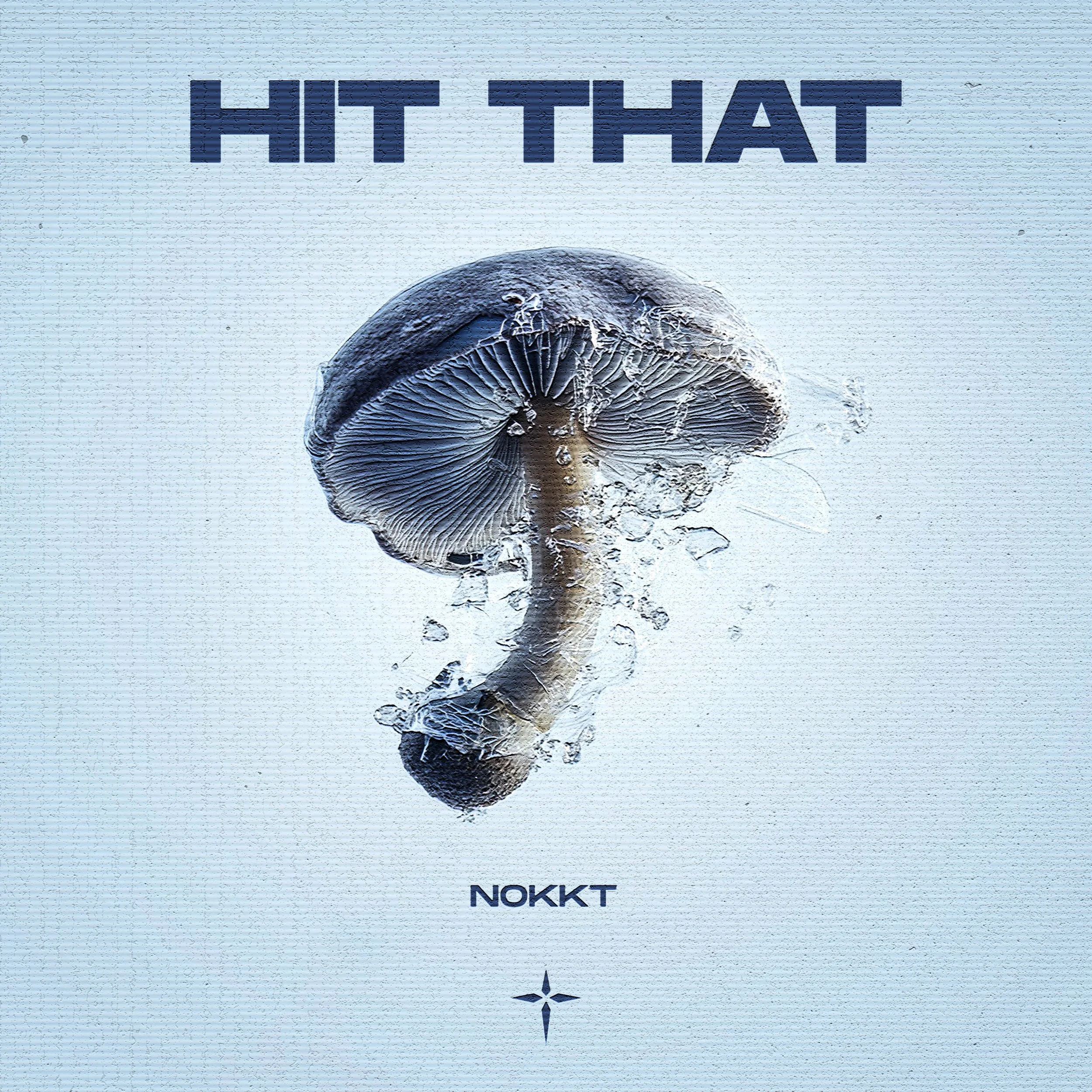 NOKKT - HIT THAT