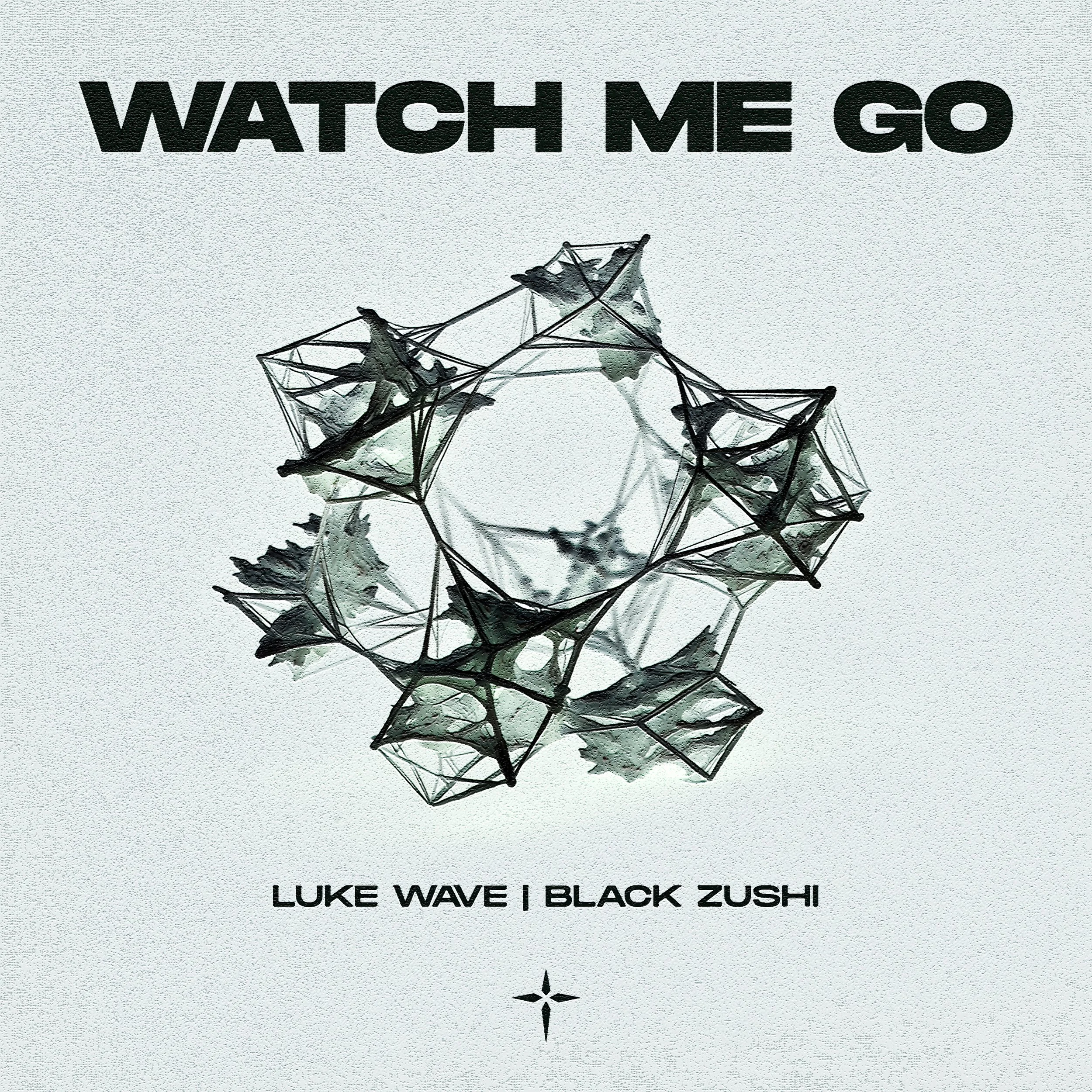 Luke Wave, Black Zushi - Watch Me Go