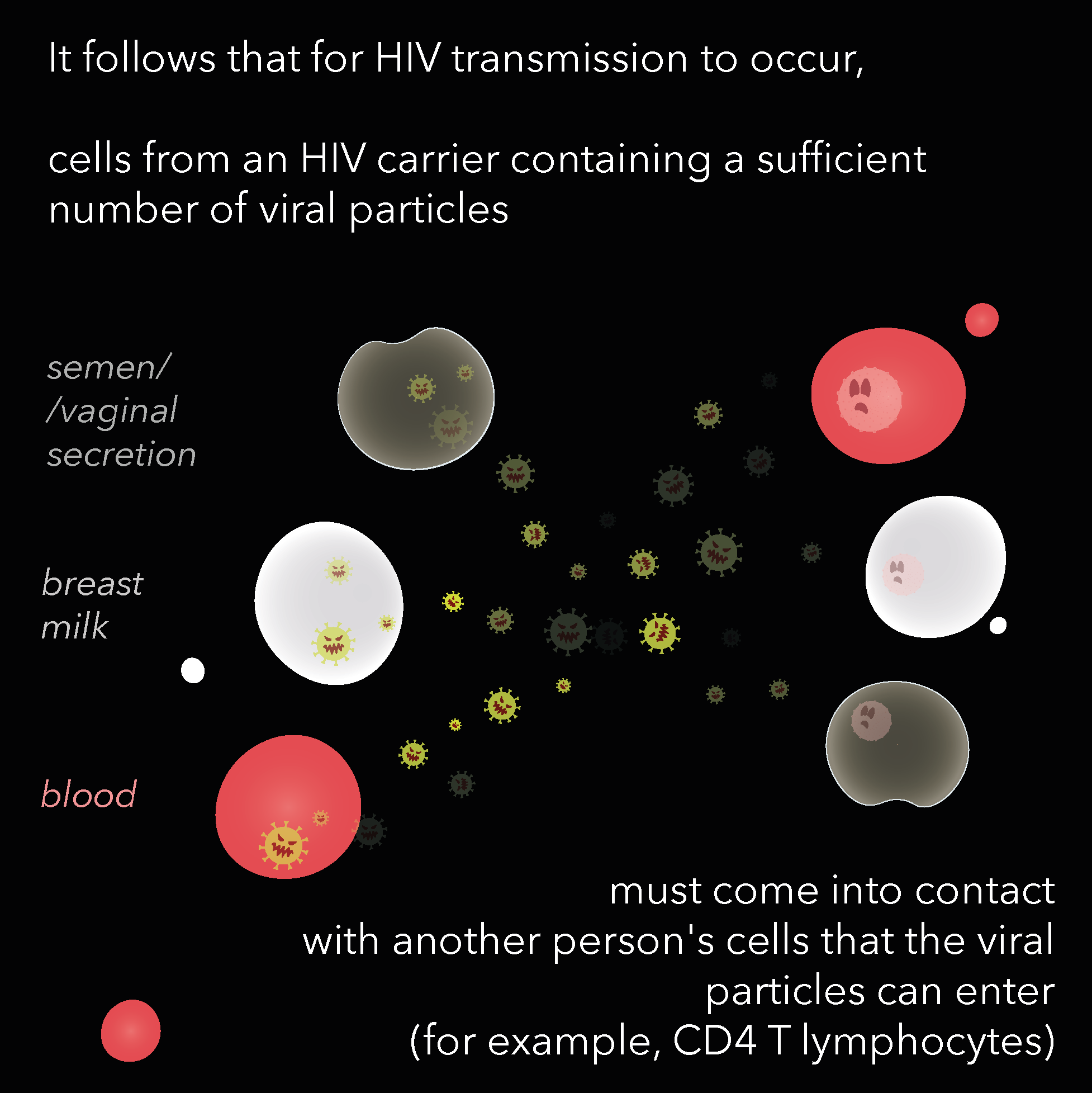 Digital illustration showing virus particles and immune cells with descriptive text about HIV transmission and immune response on a black background.