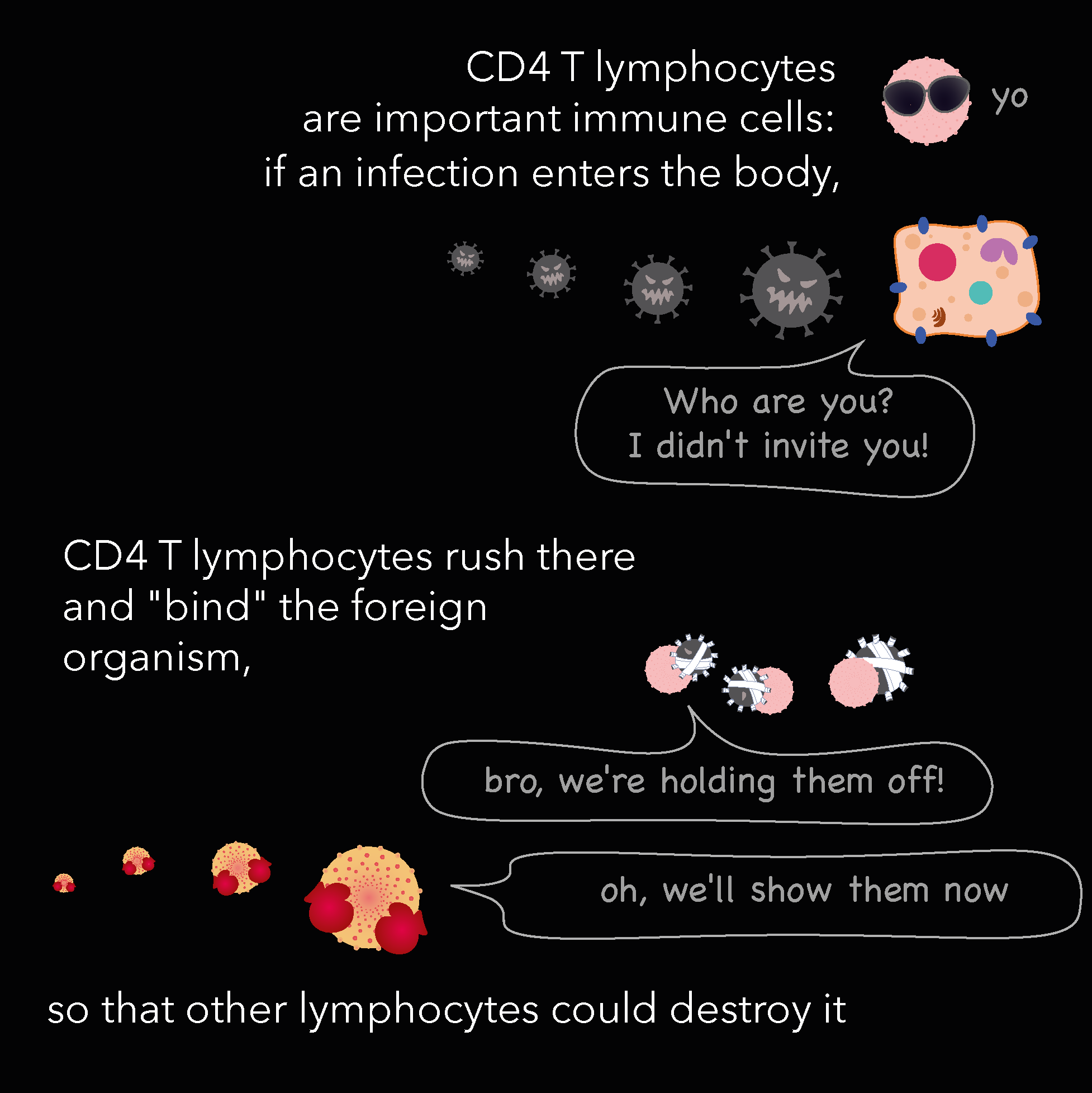 Diagram showing CD4 T lymphocytes attacking and destroying foreign organisms, with animated speech bubbles showing humorous text about not inviting them.