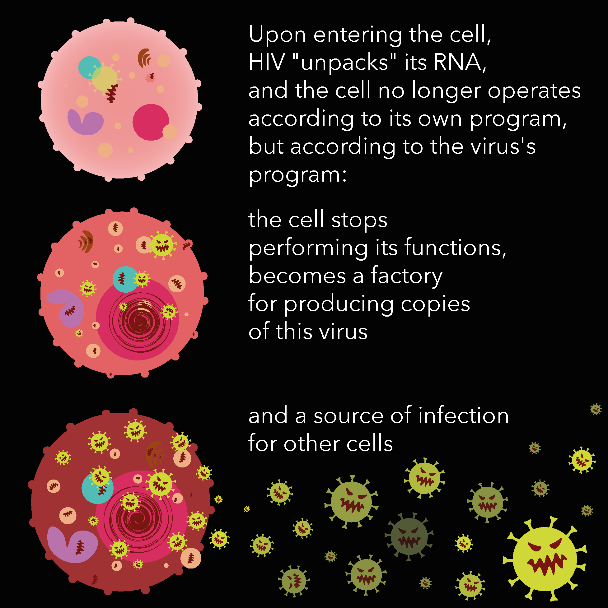 Diagram illustrating how HIV unpacks its RNA after entering a cell, with a representation of the virus with a spiky outer surface, various shapes inside representing RNA and proteins, and additional viruses releasing from the primary virus.