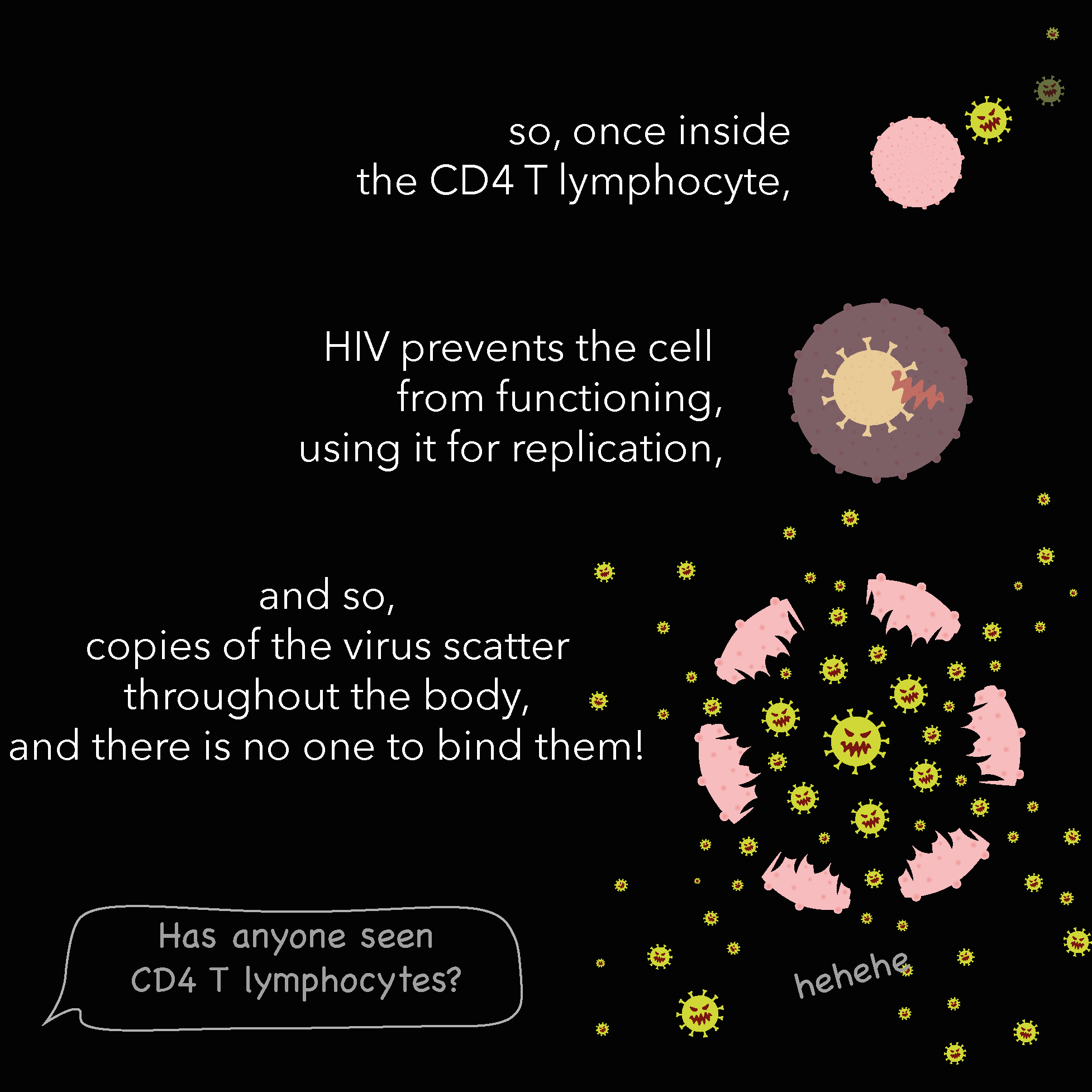 Diagram showing how HIV infects a CD4 T lymphocyte, with virus particles attaching to and entering the cell, preventing its functioning and replicating inside, creating more virus particles.