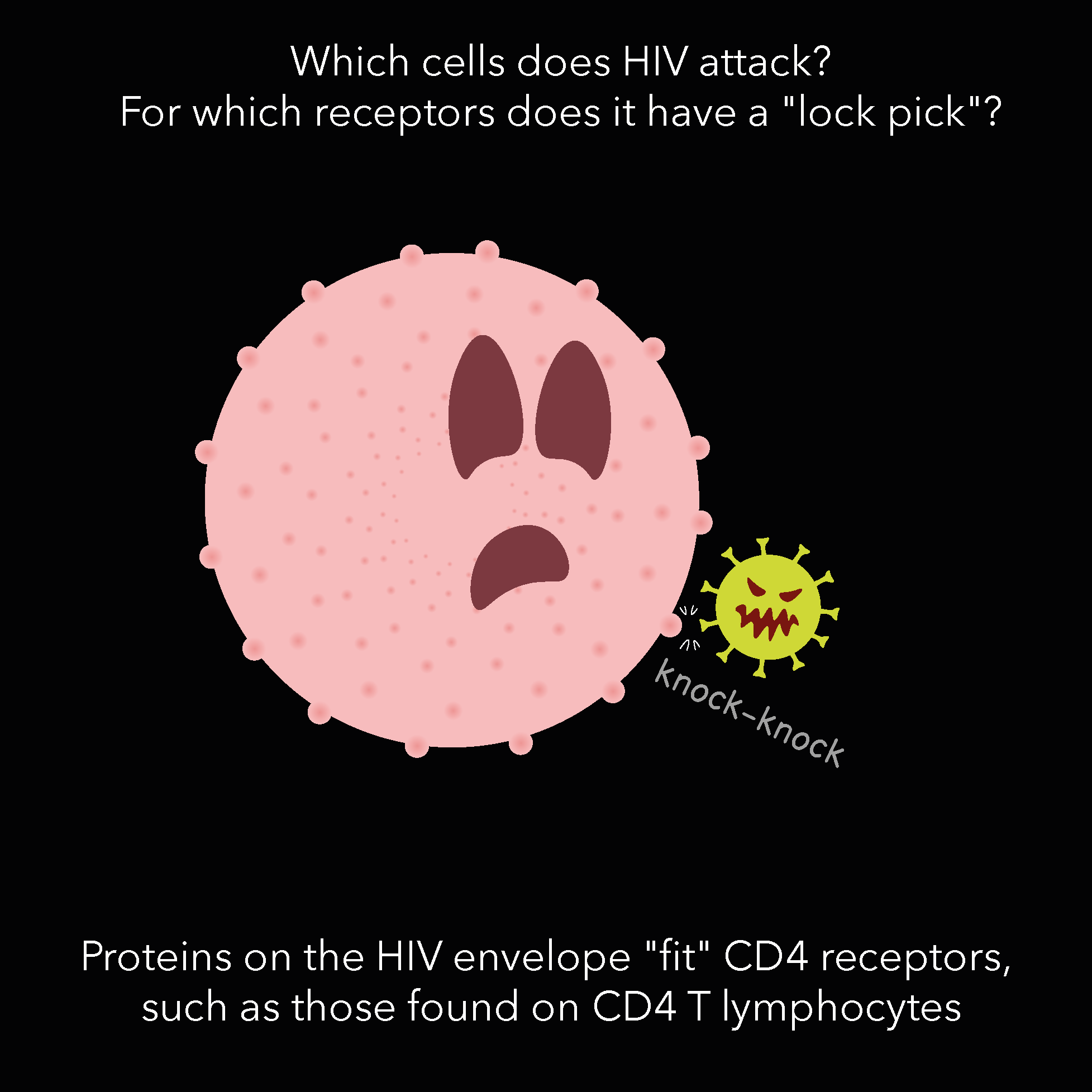 Diagram illustrating the cells targeted by HIV, showing the HIV envelope with proteins 'fit' to CD4 receptors on T lymphocytes, including a cartoon of a pink virus particle with spike proteins and a yellow virus with a frowning face.