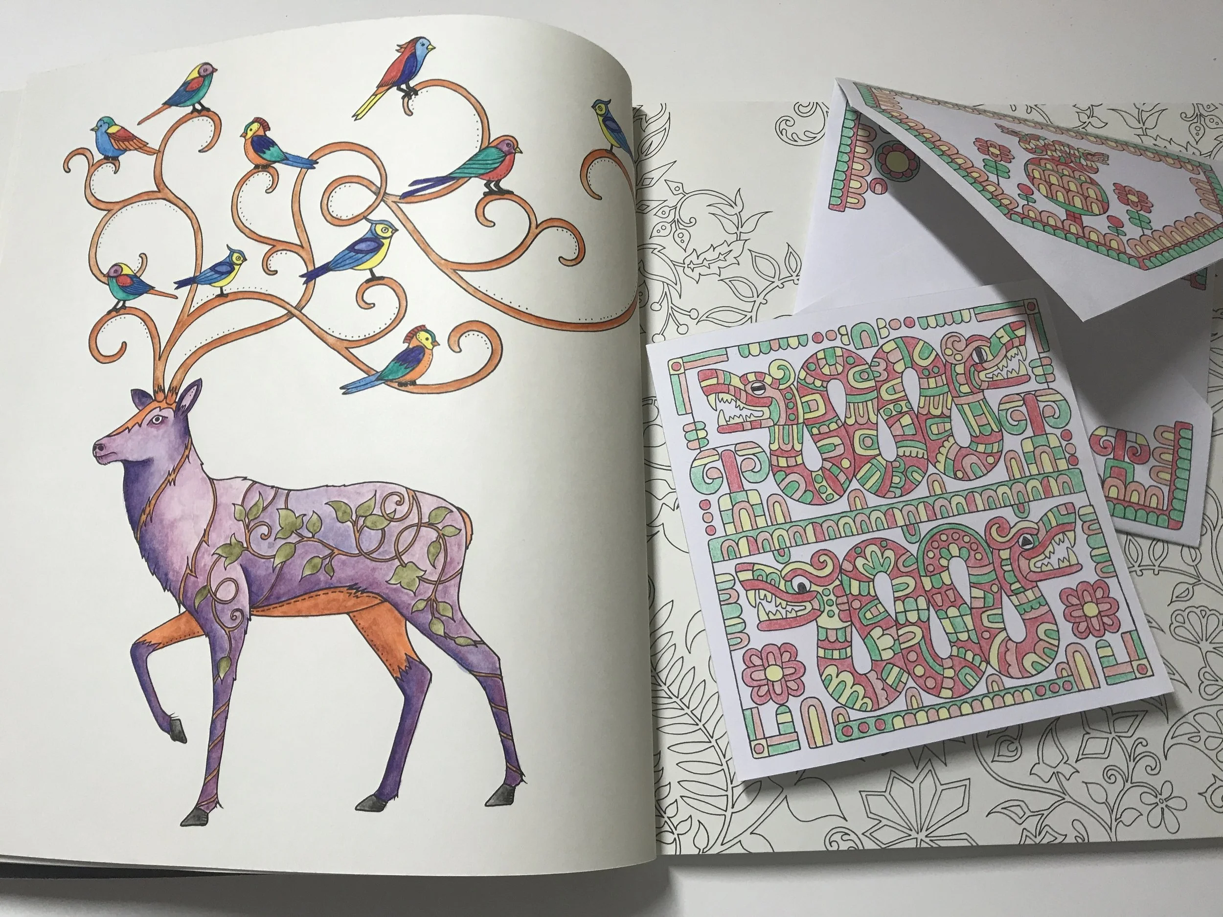 18 jul blog colouring.JPG