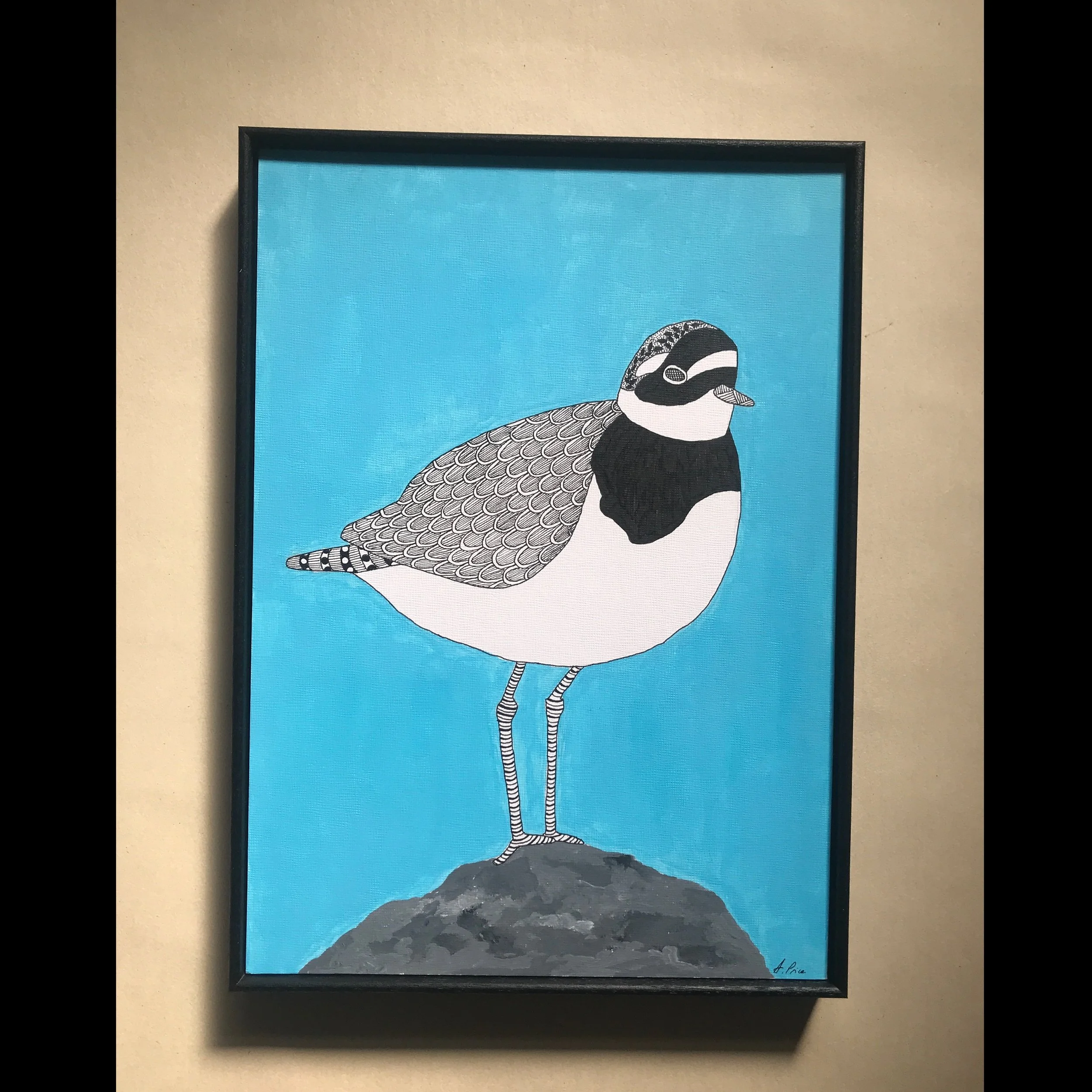 Mindful plover framed square.jpeg