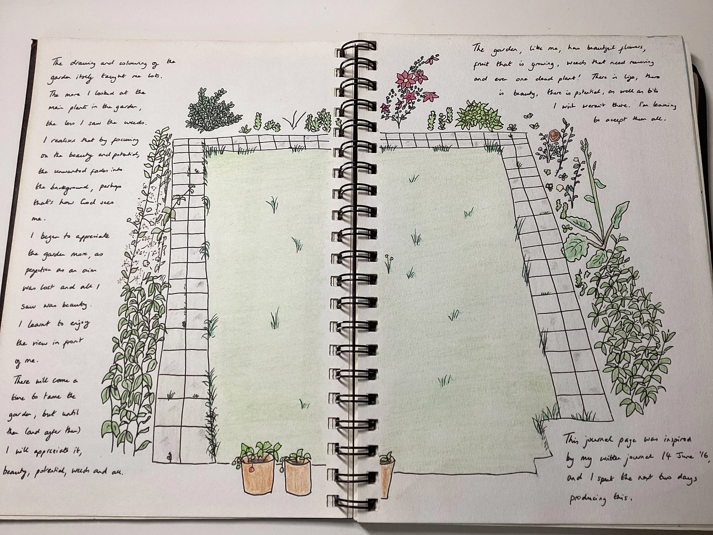 A drawing of my garden in pen, coloured in pencil. A double page spread in a ring bound journal.Words journaled around the outside.