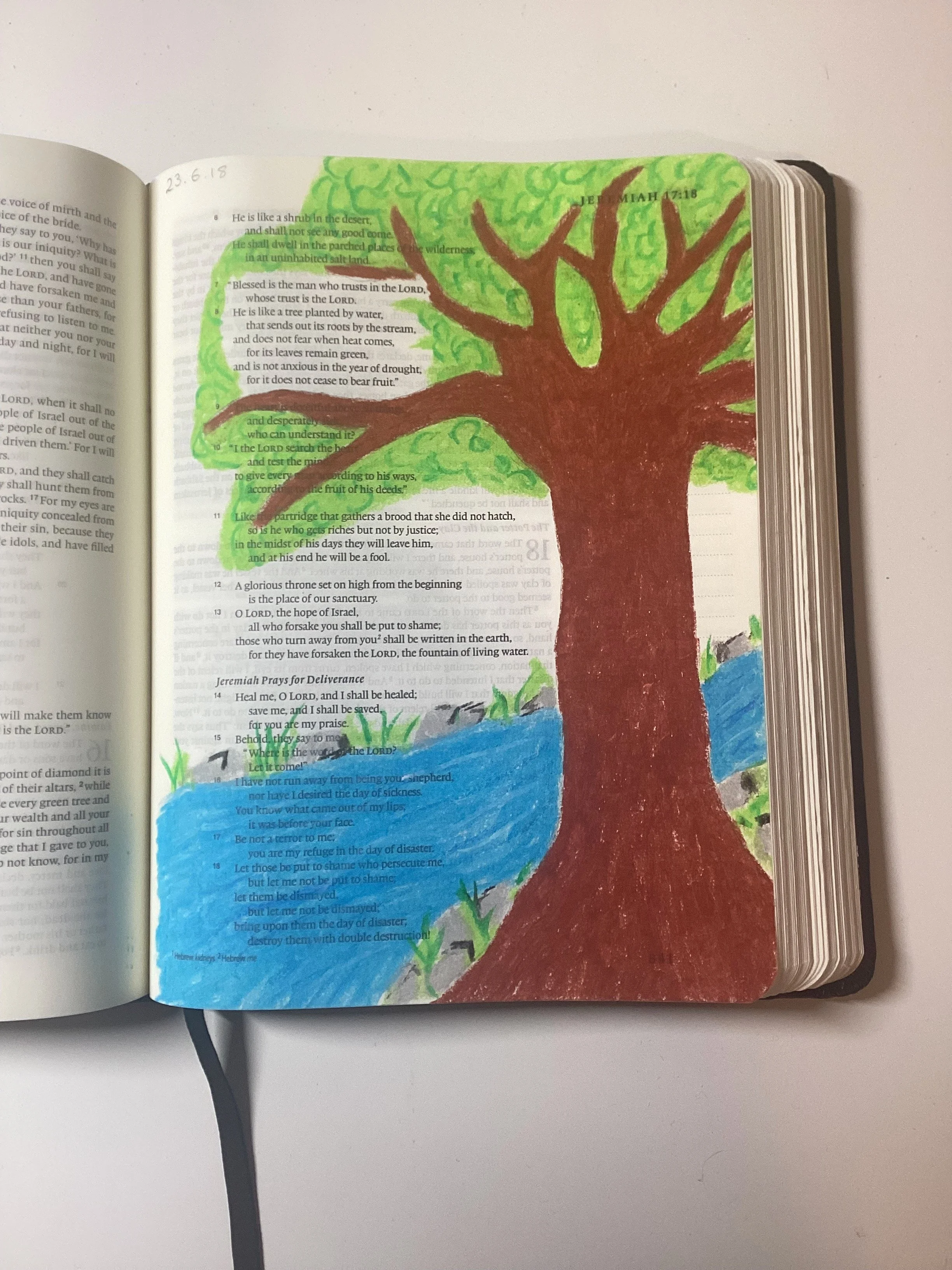 A drawing in oil pastel of a tree by a stream on a page of the bible. Jeremiah 17 v 7-8 are kept clean, with the green of the tree around them.