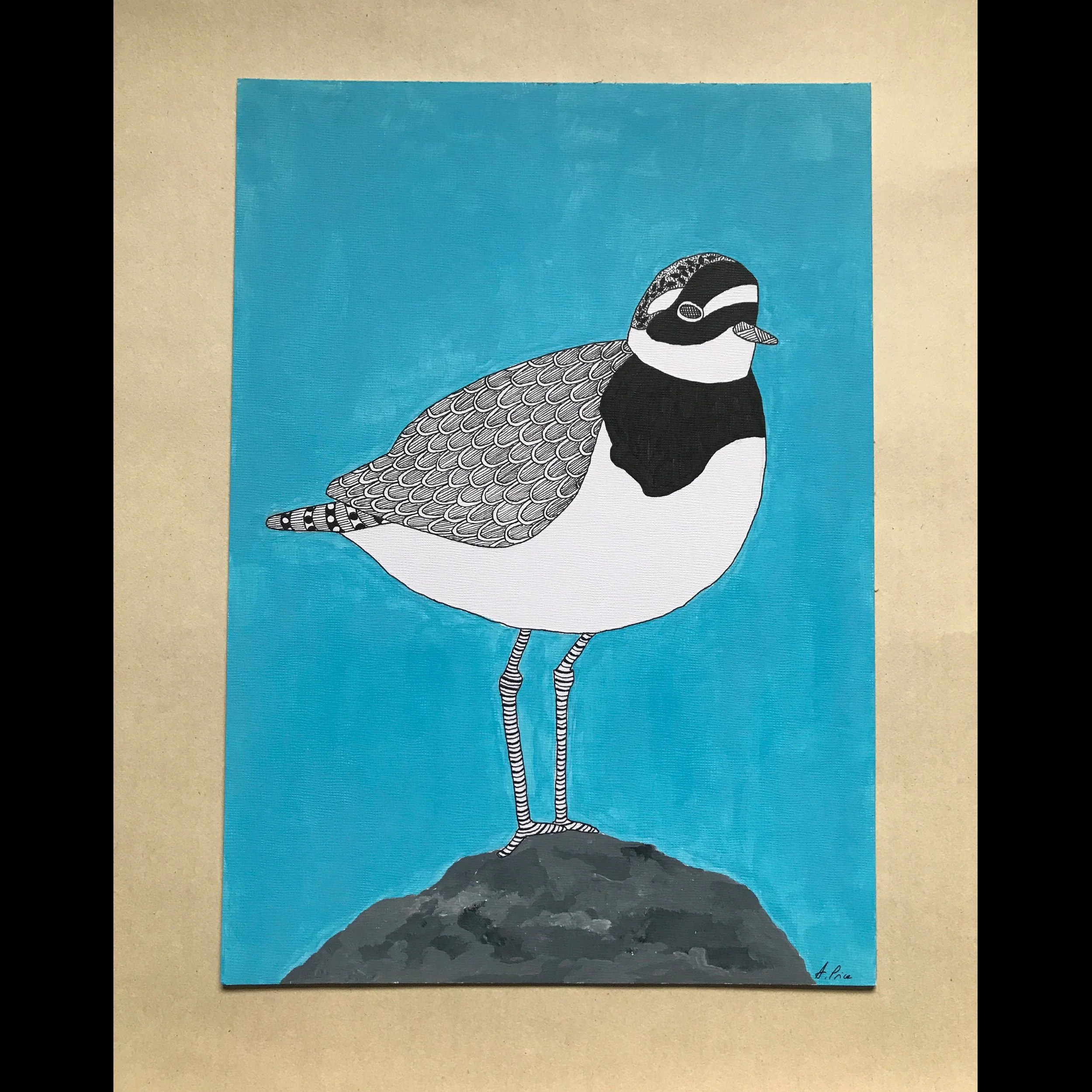 Mindful Plover