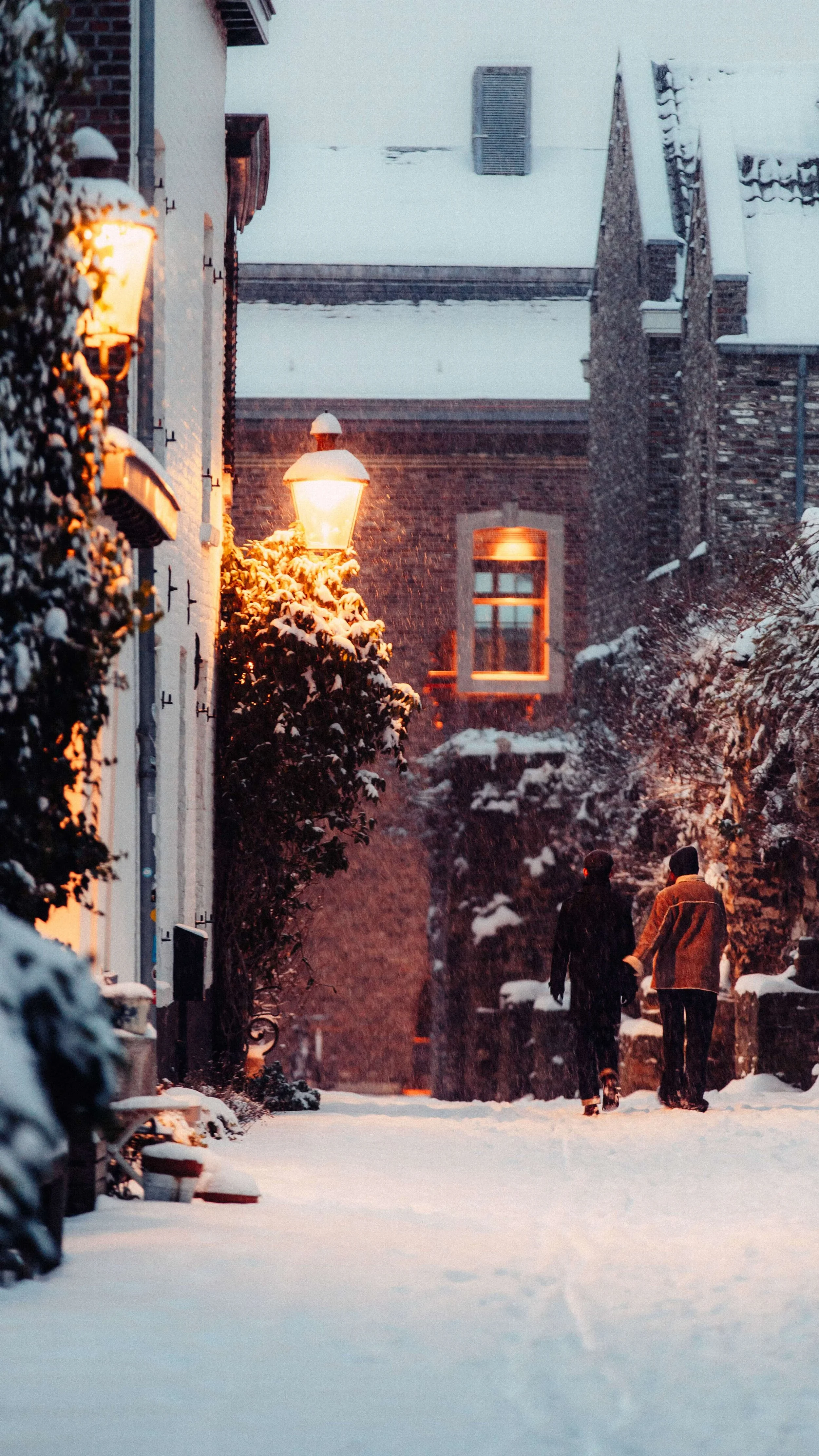 Winter
 Maastricht, The Netherlands 