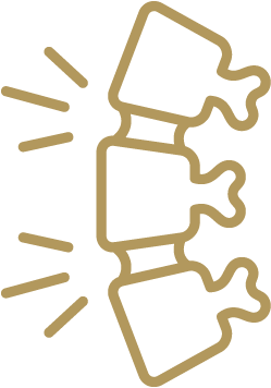 Illustration of a spine