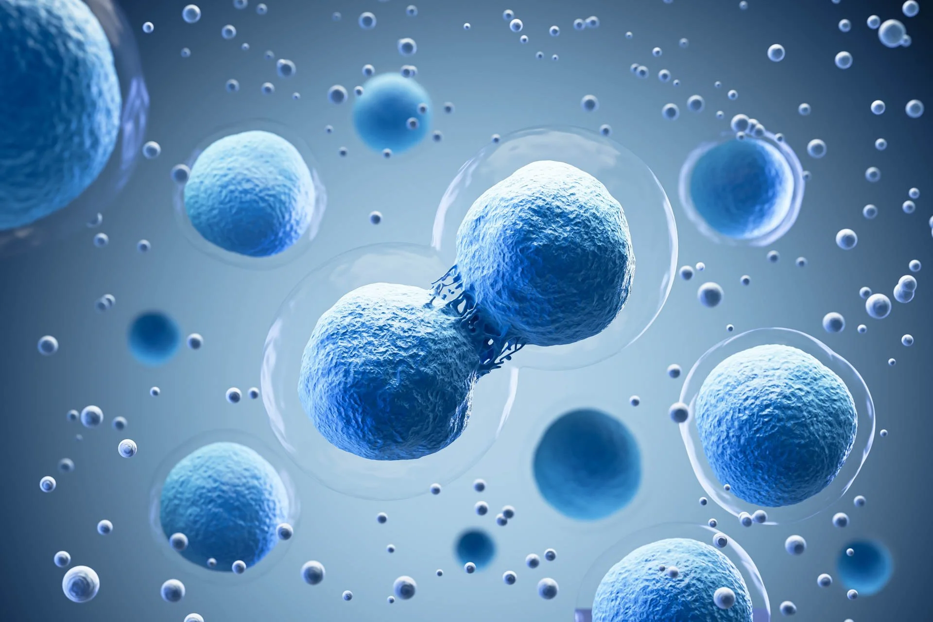 Digital illustration of blue human cells, some with connecting structures, floating in a fluid environment.