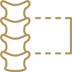 Illustration of three human vertebrae with a dashed line indicating space for a spinal disc.