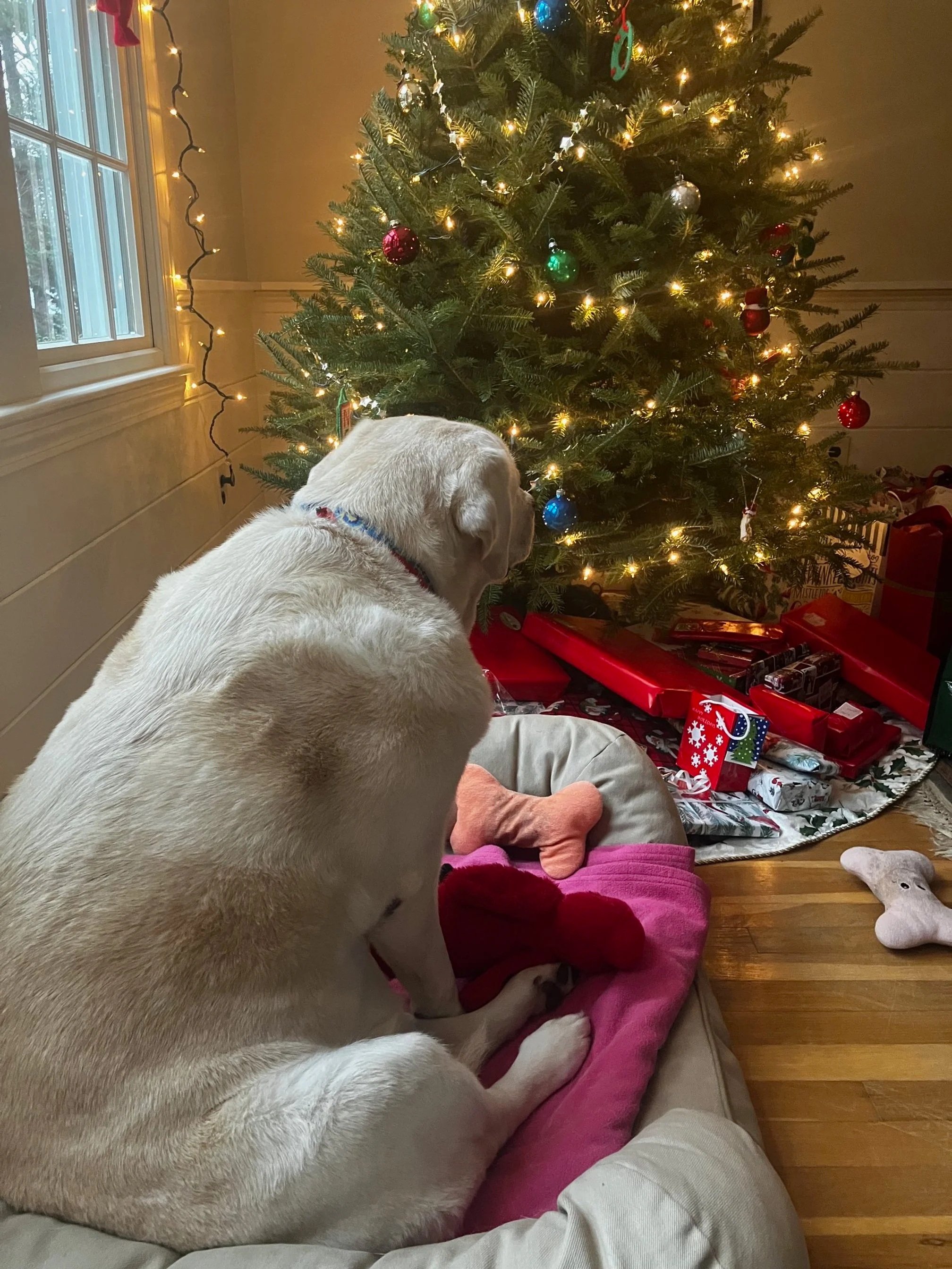 A Lowell Christmas Story