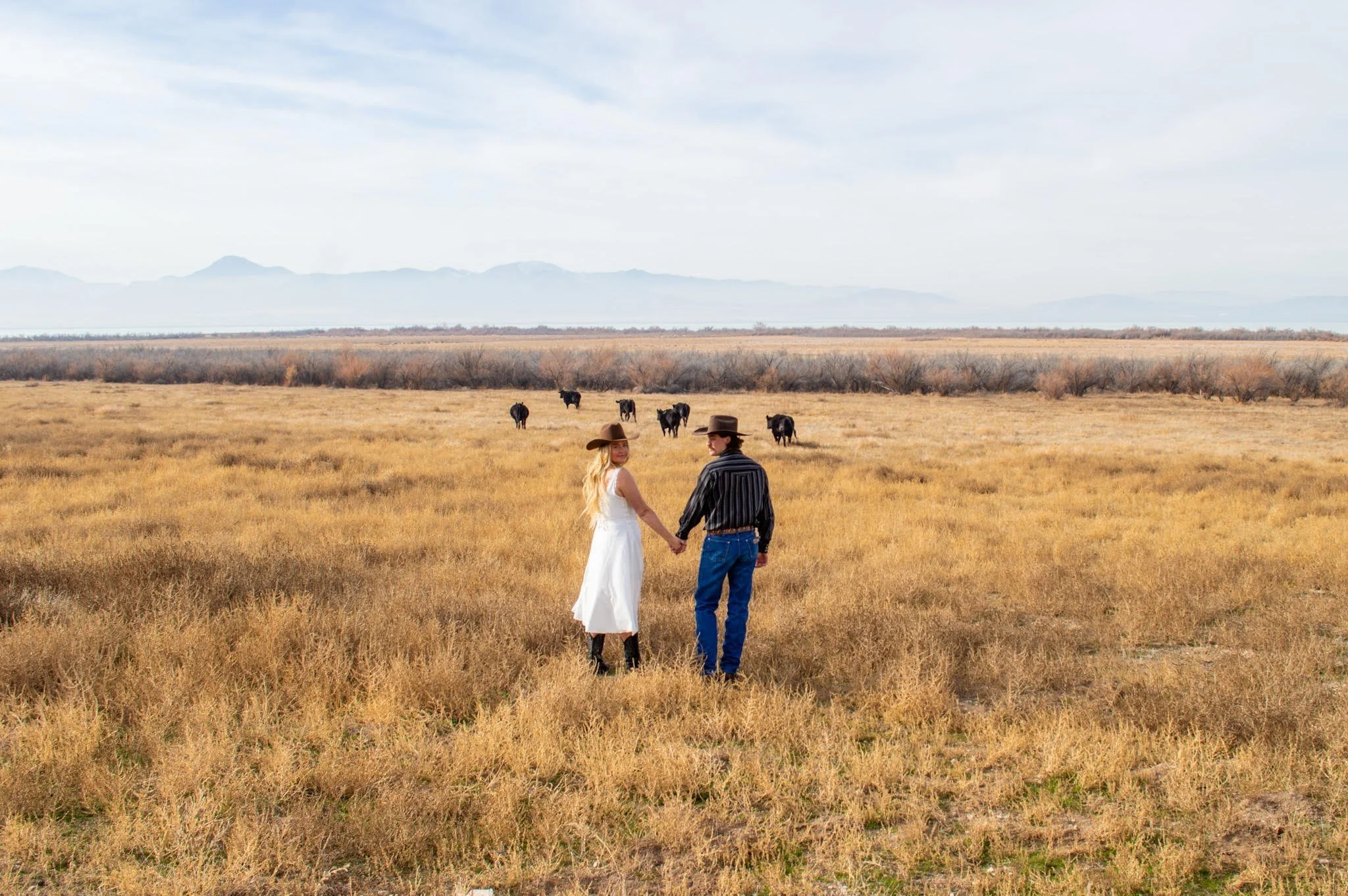 A man and woman holding hands in a grassy field with cows grazing in the background, and mountains in the distance.
