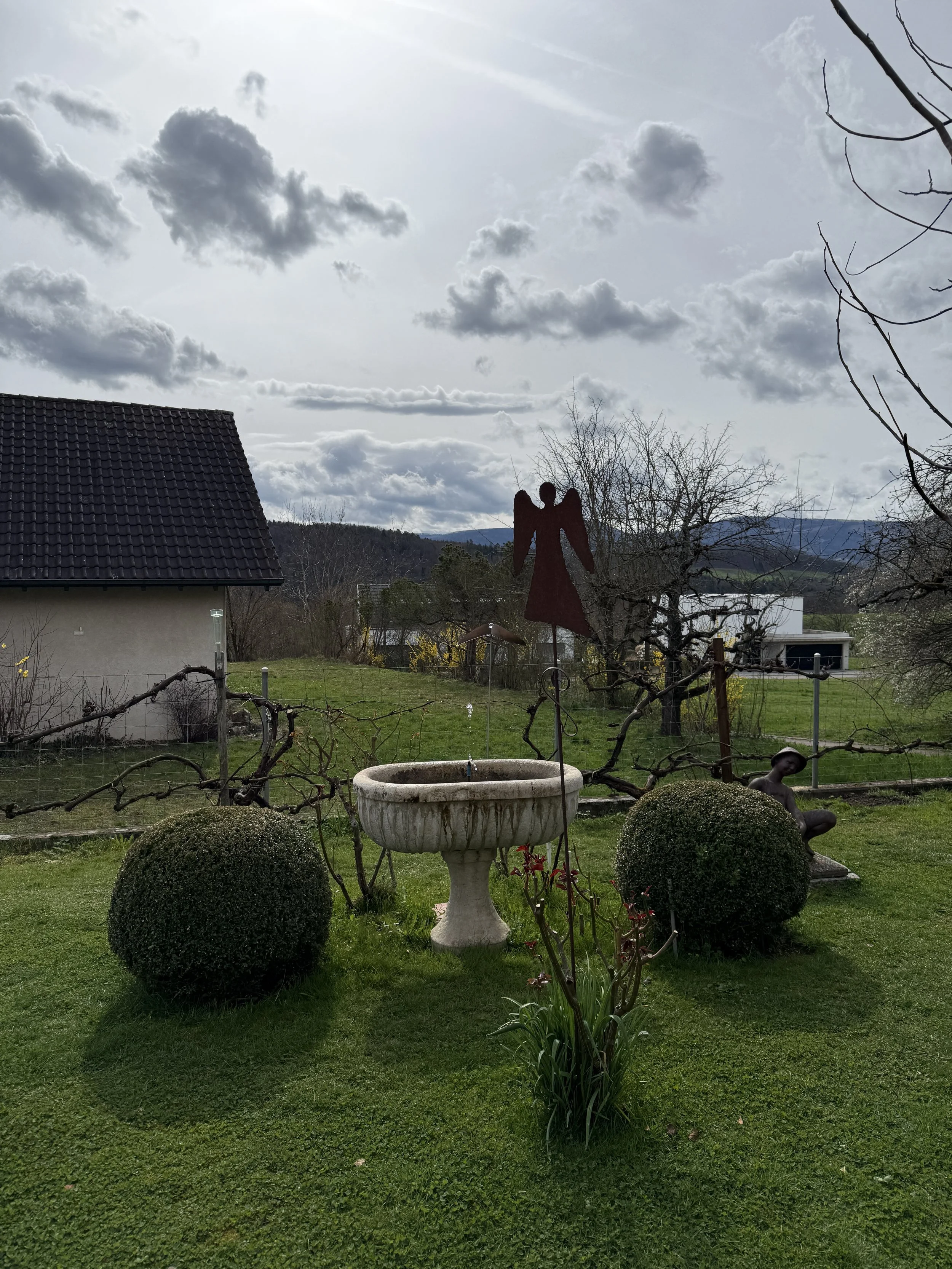 Formschnitt Buchsbaum