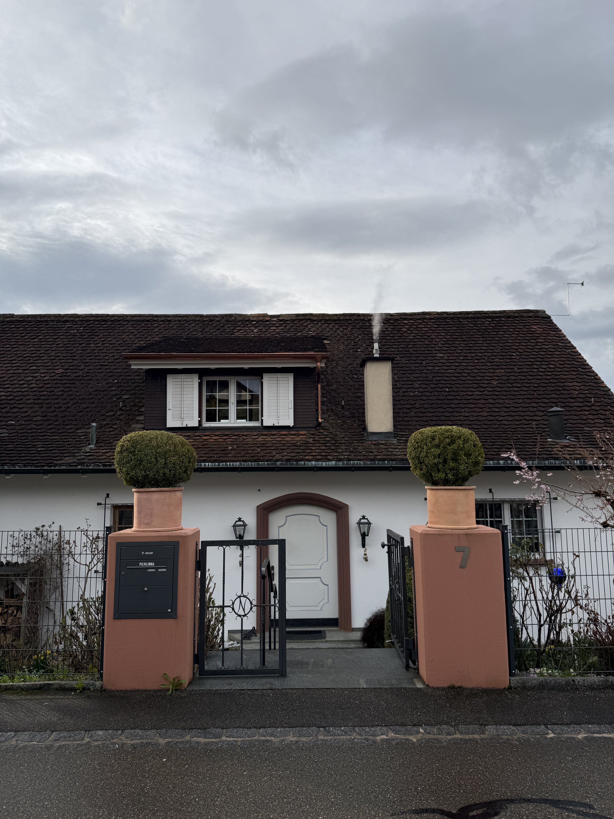 Formschnitt Buchsbaum im Eingangsbereich