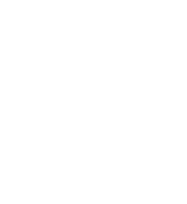 A simple illustration of a website accessibility icon.