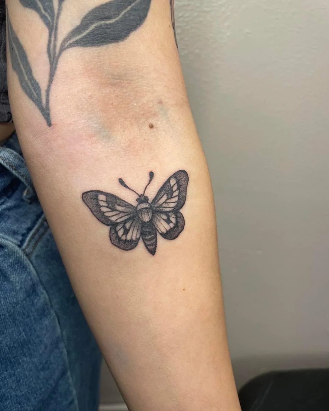 Lil moth babe by Haze 🤘🏻 who else senses transformation coming in 2026?