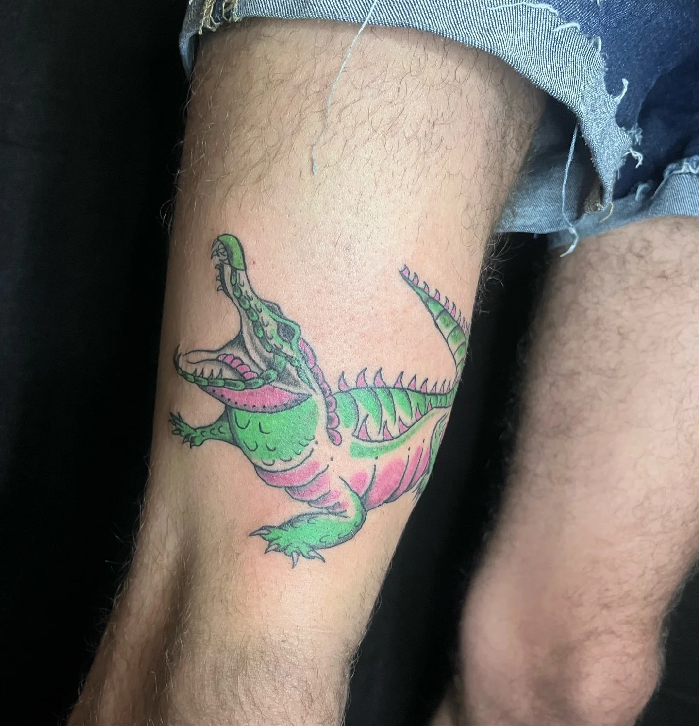 Colorful crocodile by @laylaasart