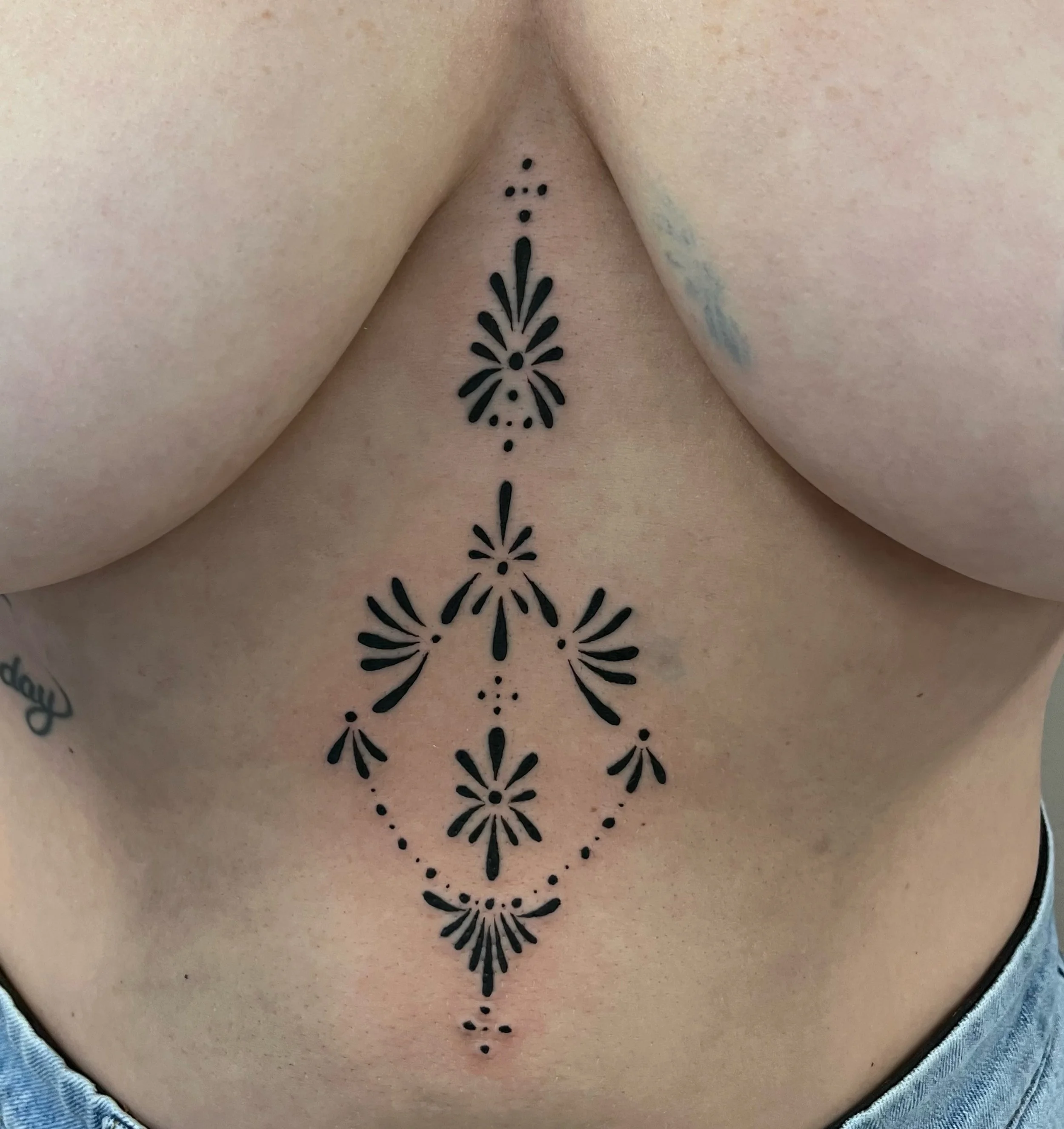 Sternum+stomach ornament by @laylaasart