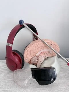 Brainspotting therapy brain-based healing trauma treatment Madison Wisconsin