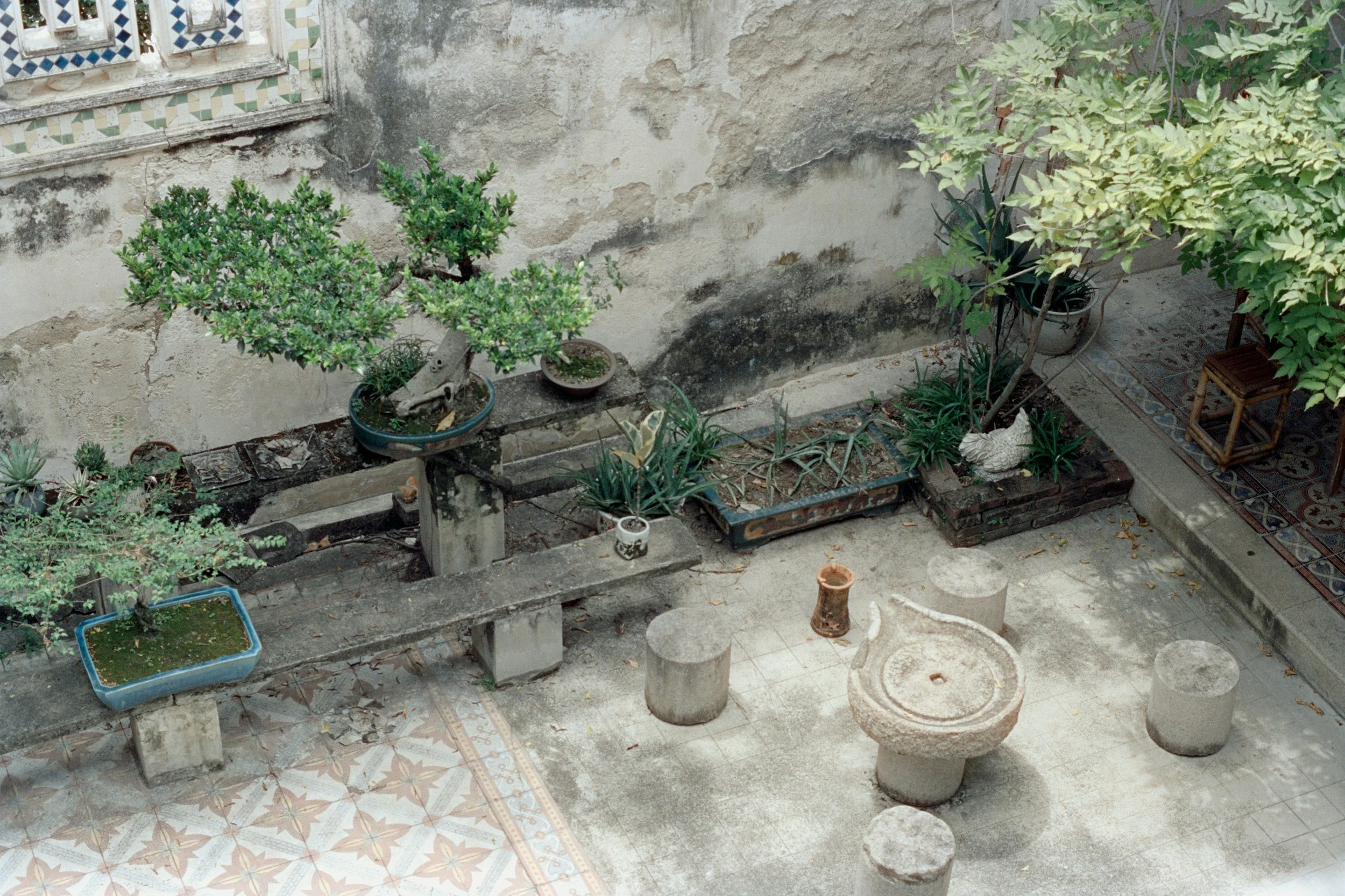 Designing Small Courtyards: Maximising Space with Clever Plant Choices