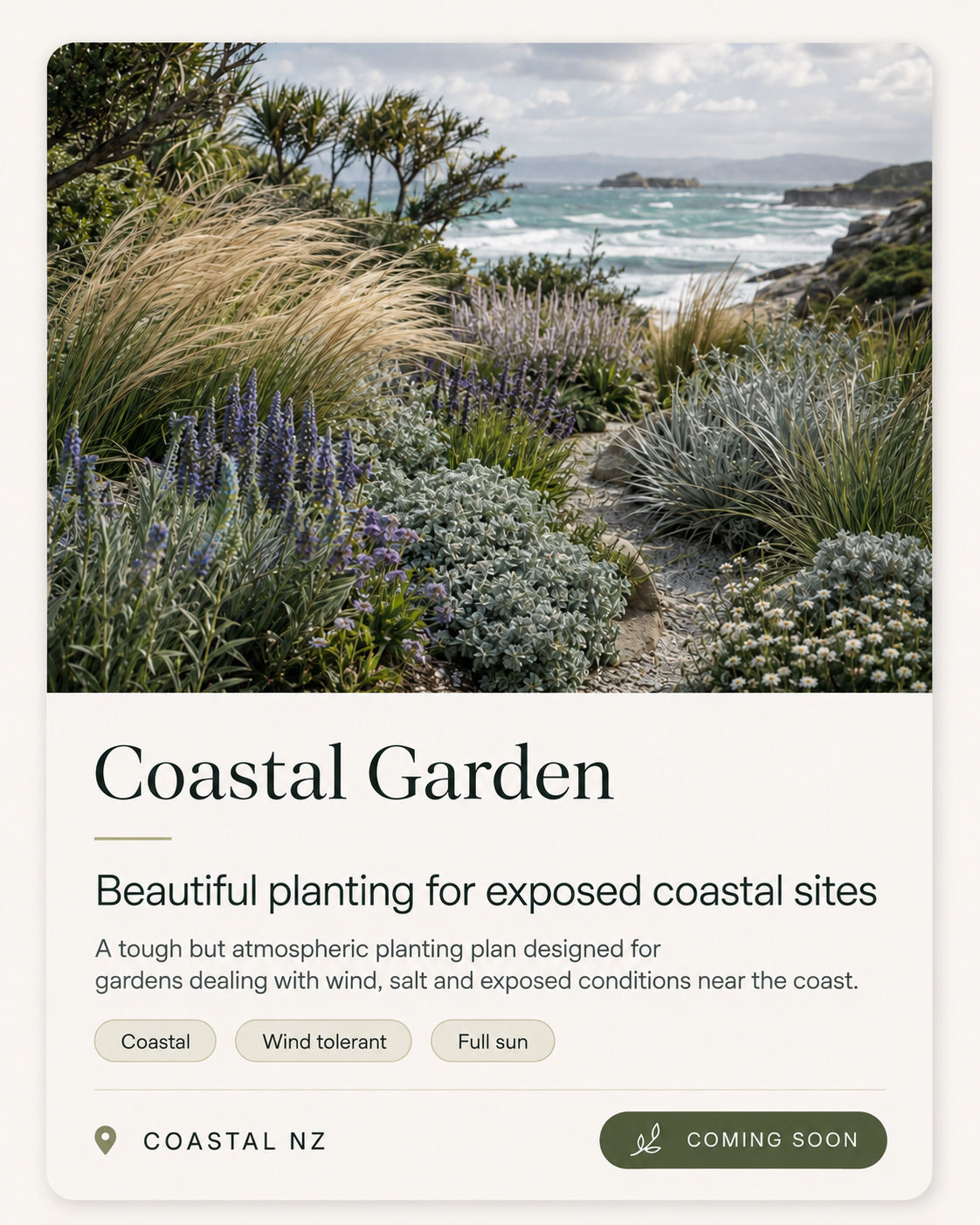 Coastal Garden Planting Plan