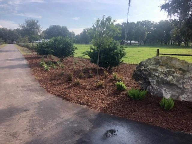 Landscaped garden with small bushes, a large rock, and a tree along a paved walkway, with a grassy field and trees in the background.