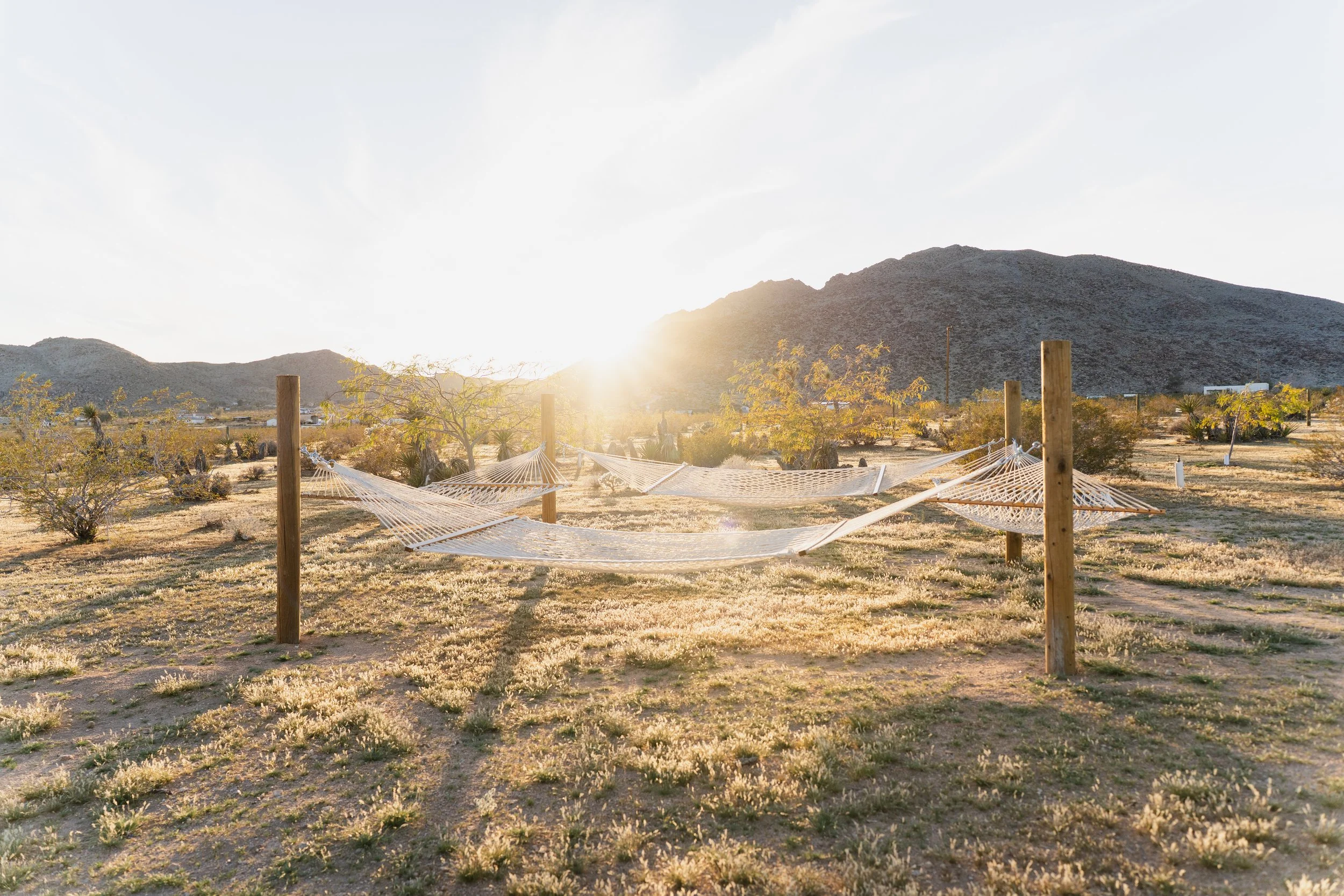 Four hammocks for lazing the day away or perfect for late night star gazing.