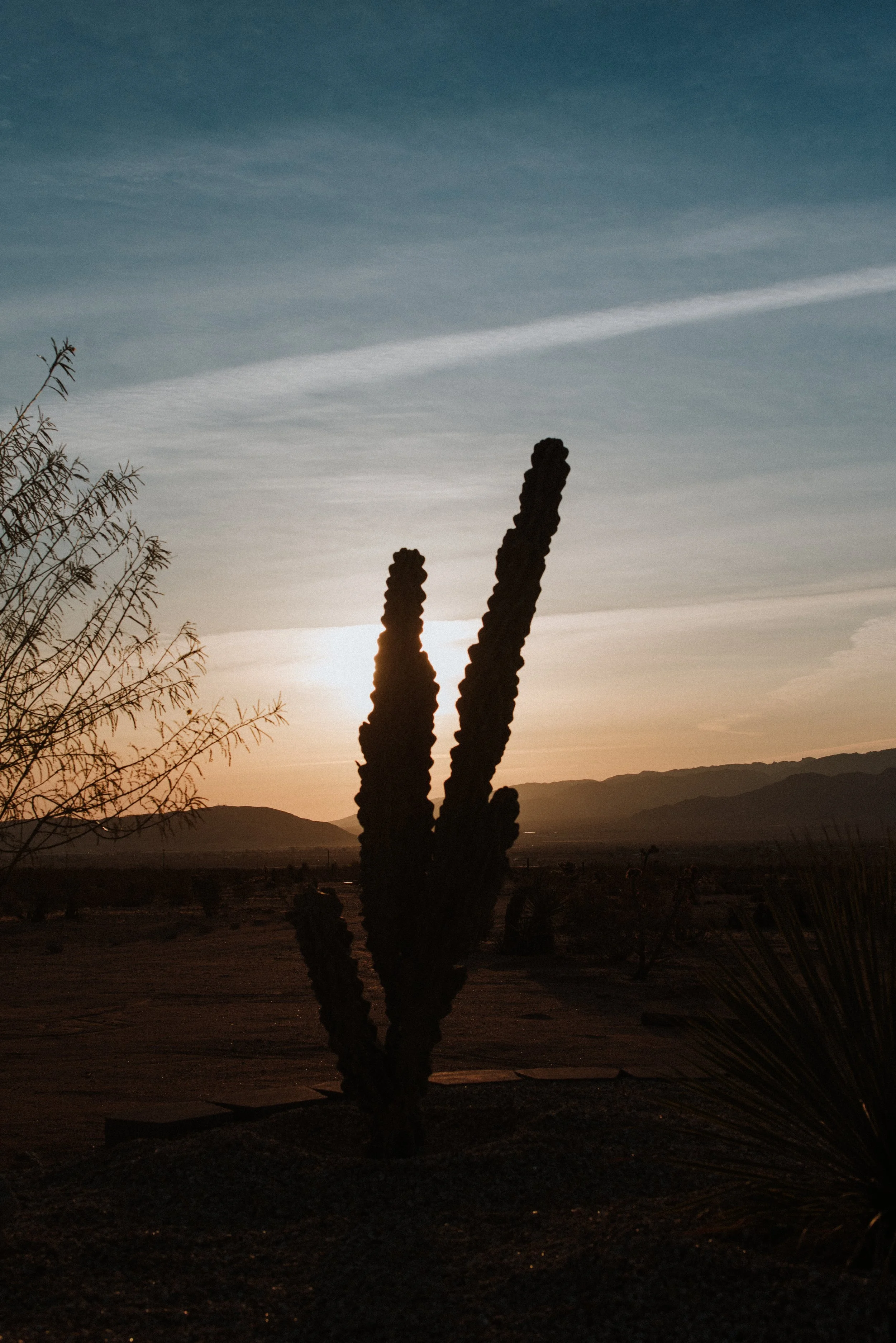 Silhouette of a tall cactus against a sunset in a desert landscape with mountains in the background.