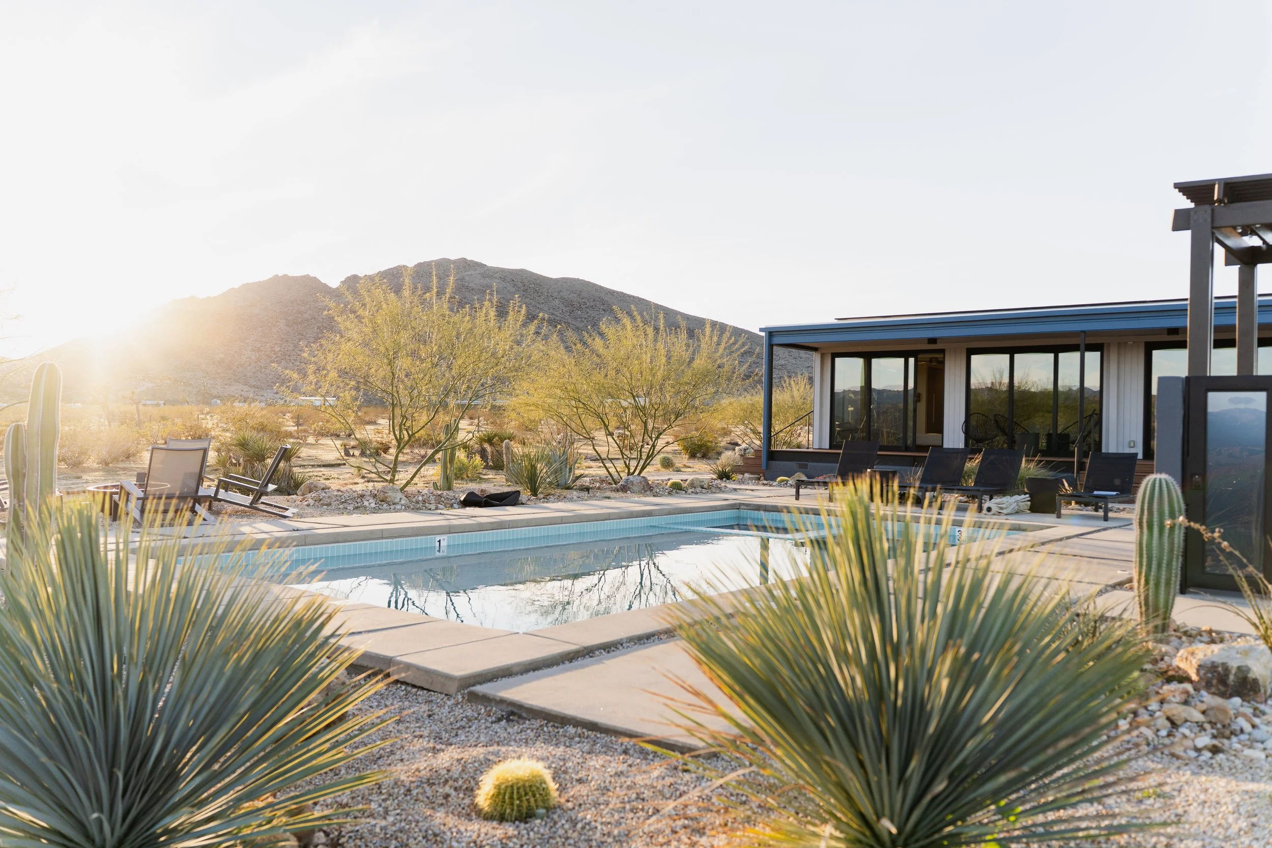 Beautiful pool set among desert landscaping.
