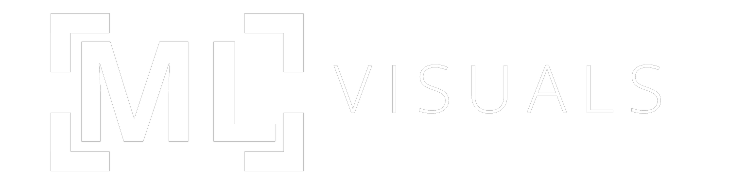MLVisuals
