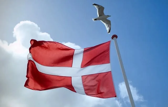 Dänische Flagge weht im Wind mit einem Möwen im Himmel.