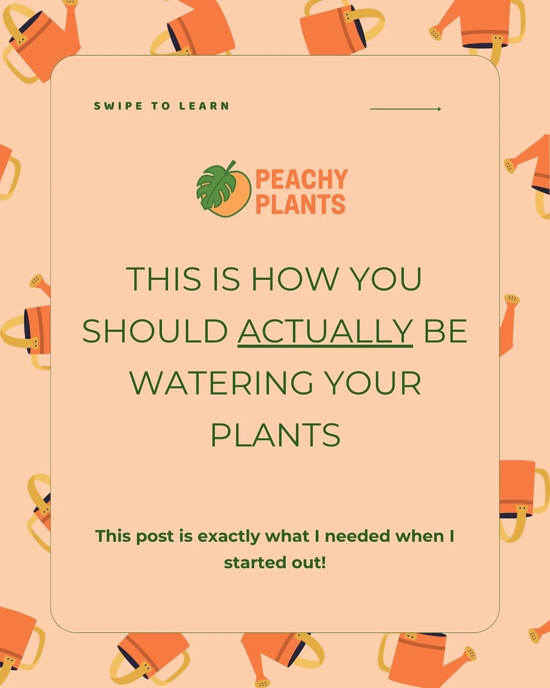 Are you watering your plants the right way? 👀
Most of the plant problems I see (yellowing, mushy stems, sudden death) come down to one thing: watering mistakes.
That’s where a moisture meter (or your own finger!) comes in. 🪴
👉 They help yo