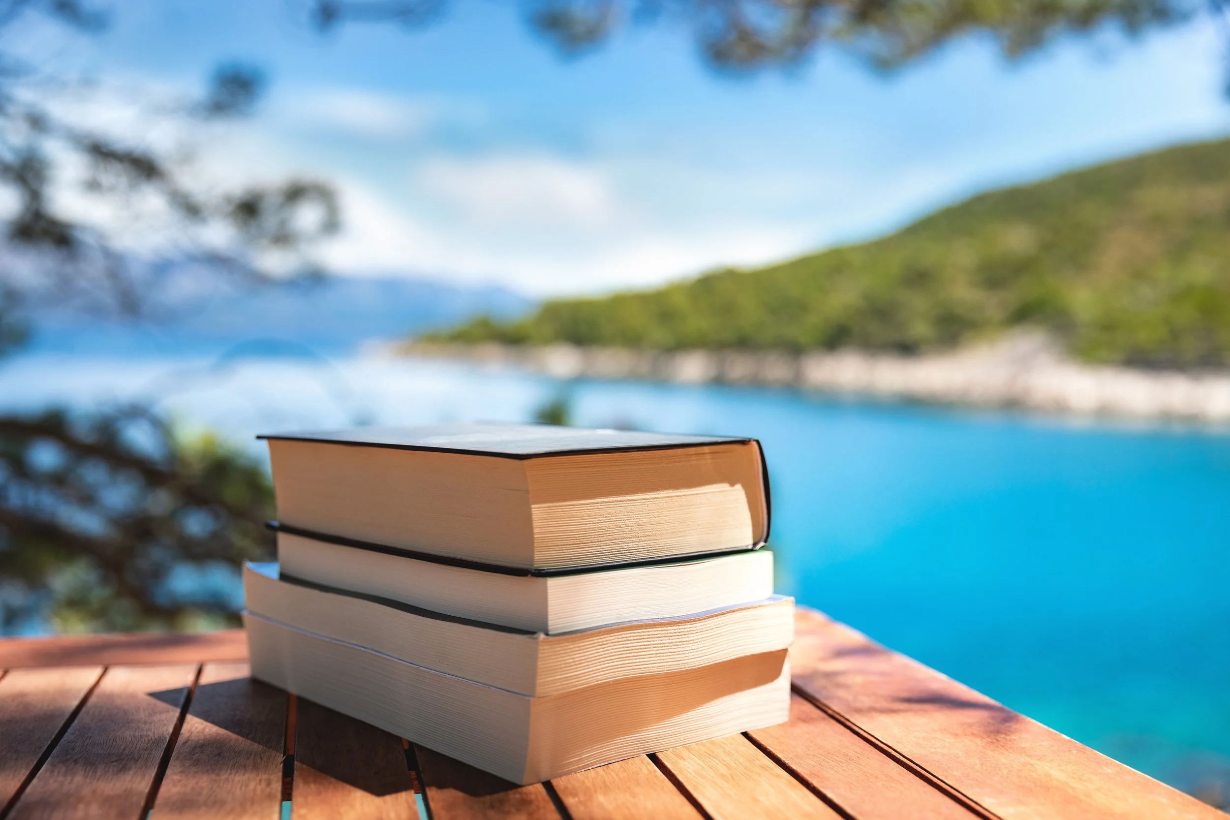 What Are You Reading This Summer?