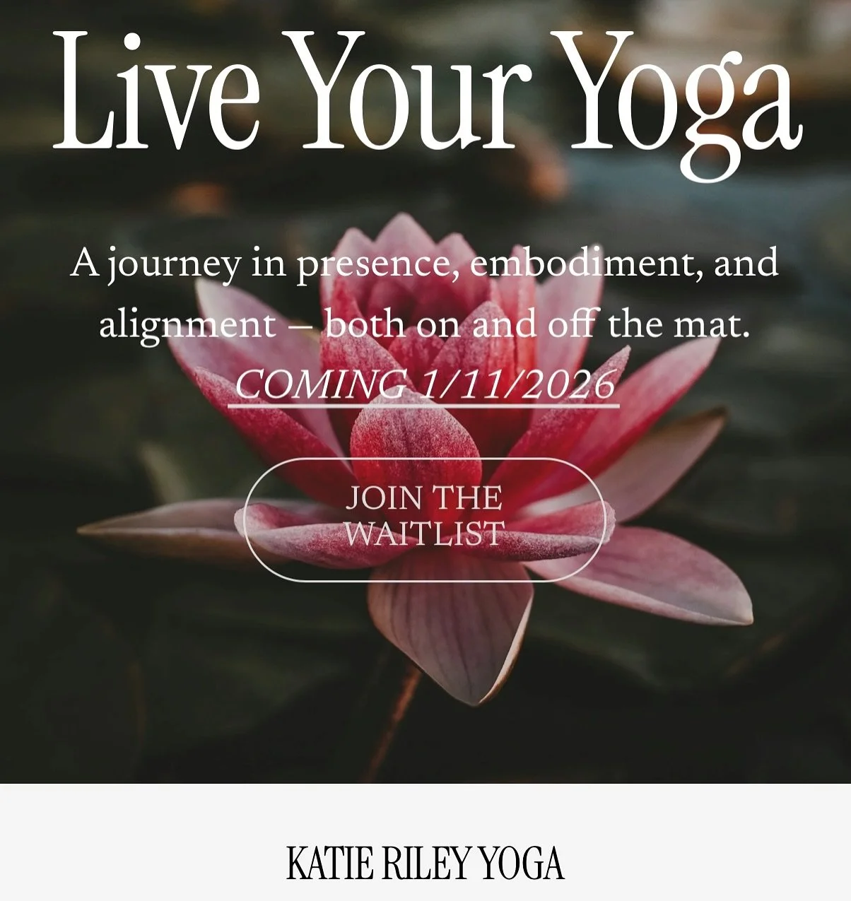 LIVE YOUR YOGA 🪷 

Created from a calling&mdash;
I&rsquo;ve been working on this projects for over a year now, through my own practice, life experience and absolute love for people. 

Live Your Yoga is a 4 week self-paced guided program to help you 