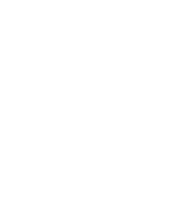 LM Wedding Photography