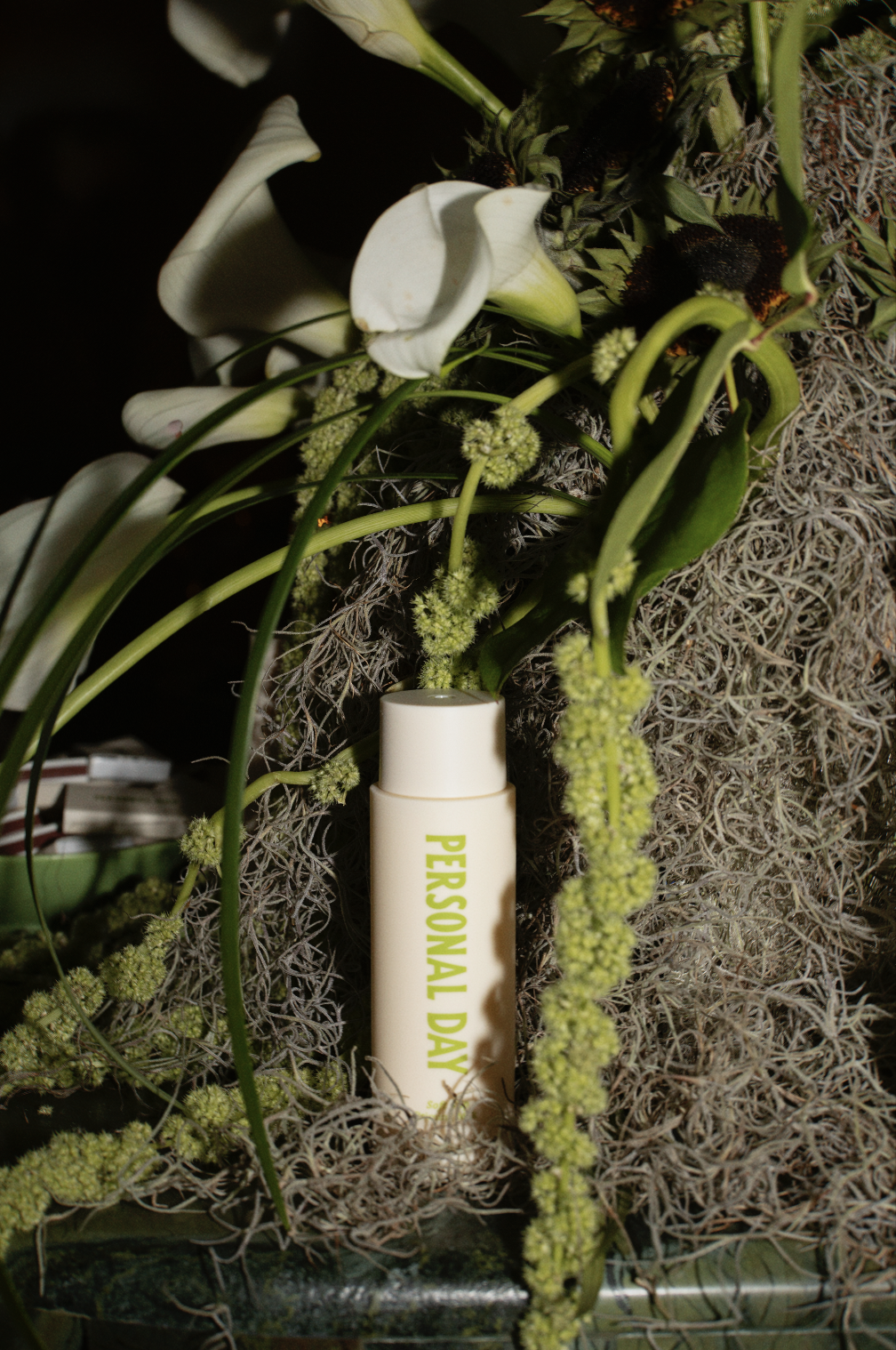 Screen Shot 2026-02-27 at 12.29.08 PM.png